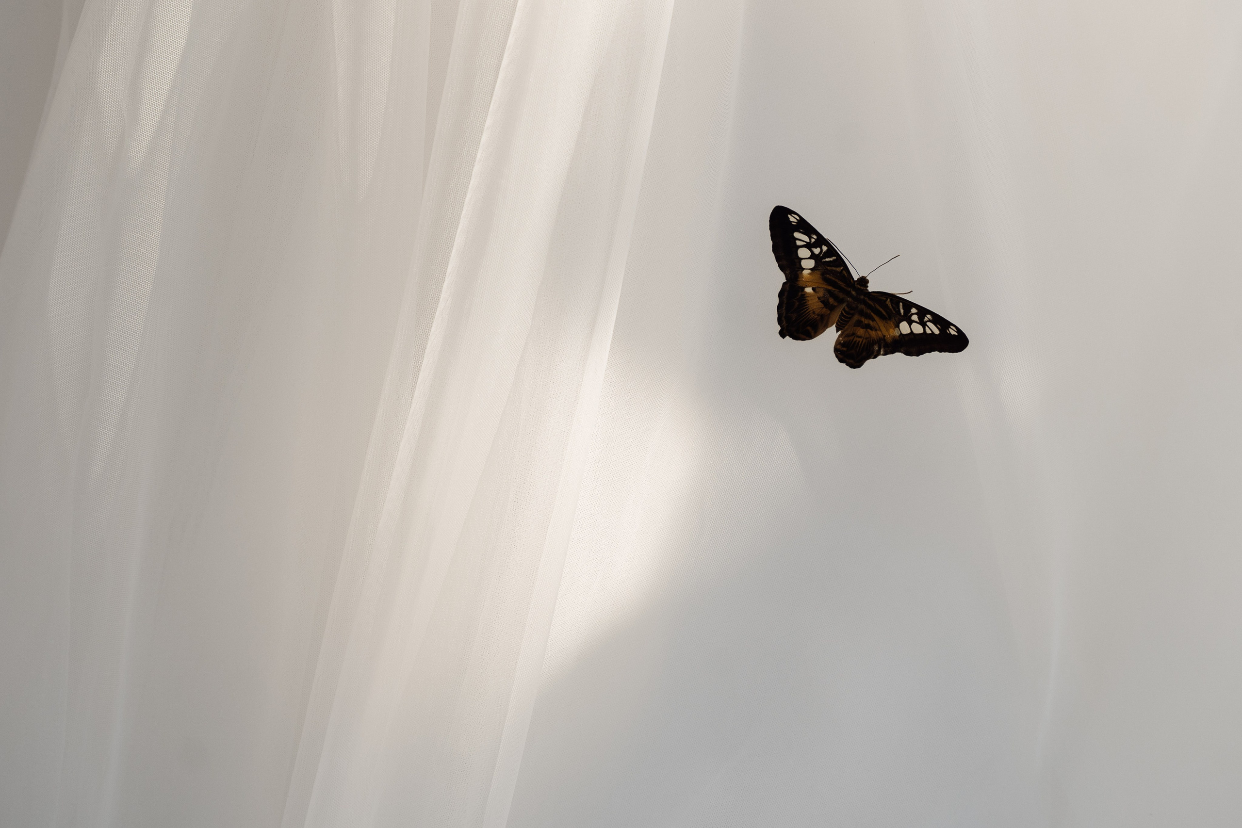 Мария и Александр. Свадебный фотограф Ростов-на-Дону