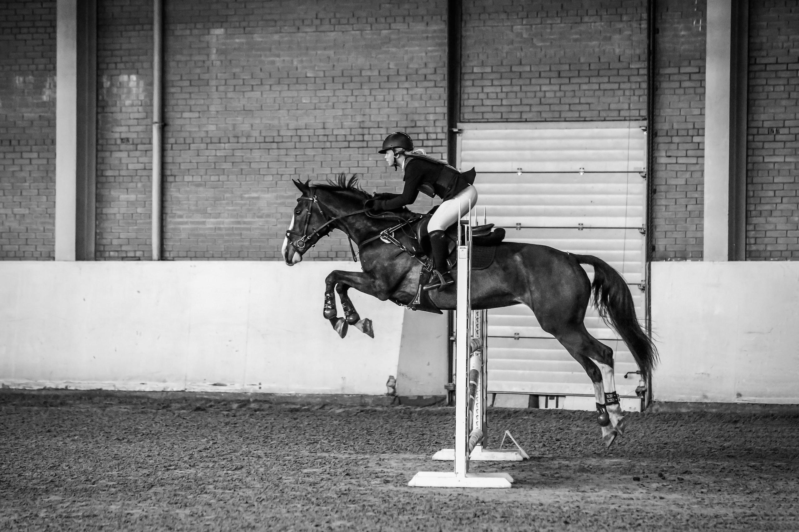 Лошади Евы Демидовой. Ева Демидова. Спортсмен по конкуру в Санкт-Петербуре