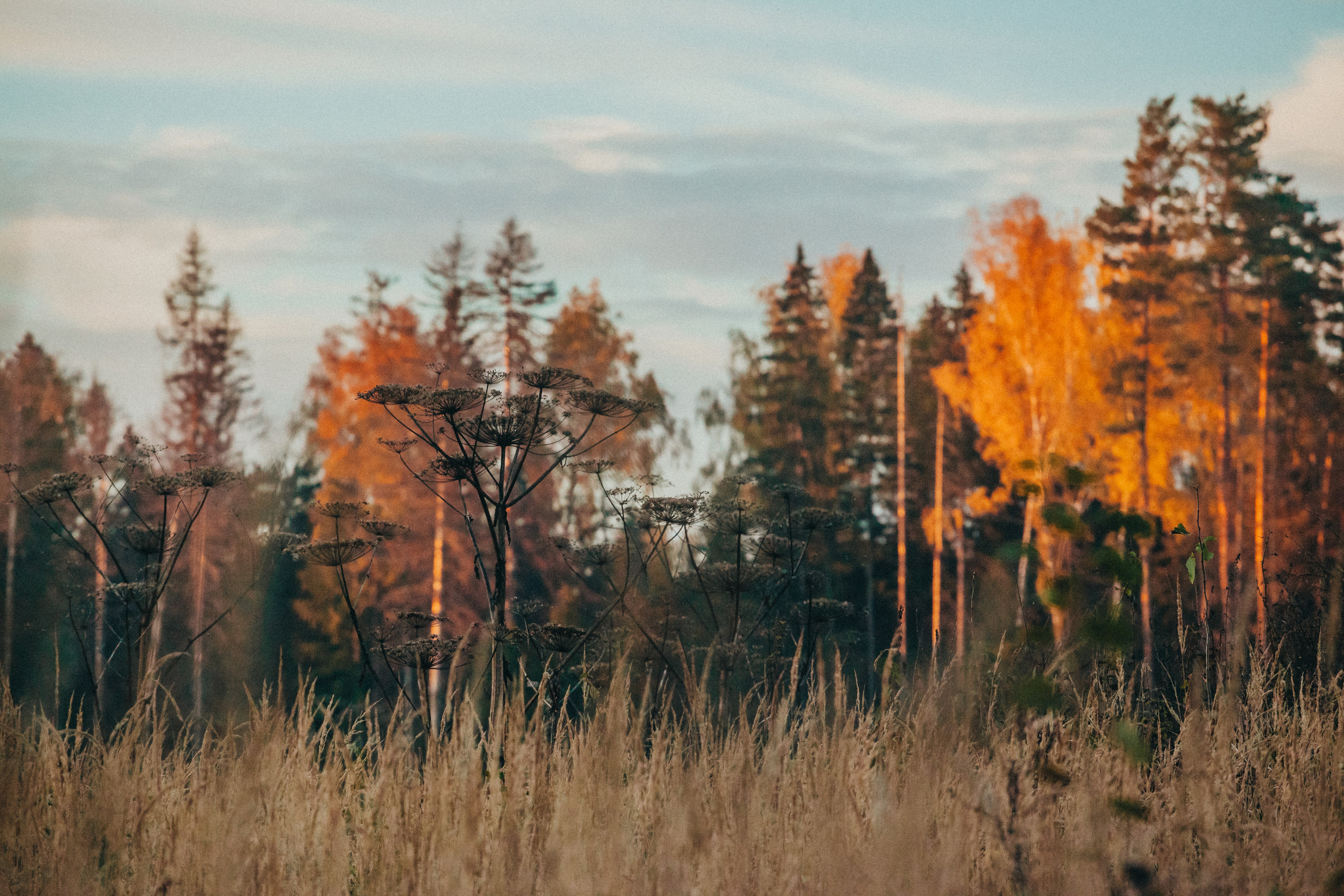 Каменоломни. Фотограф Москва и область
