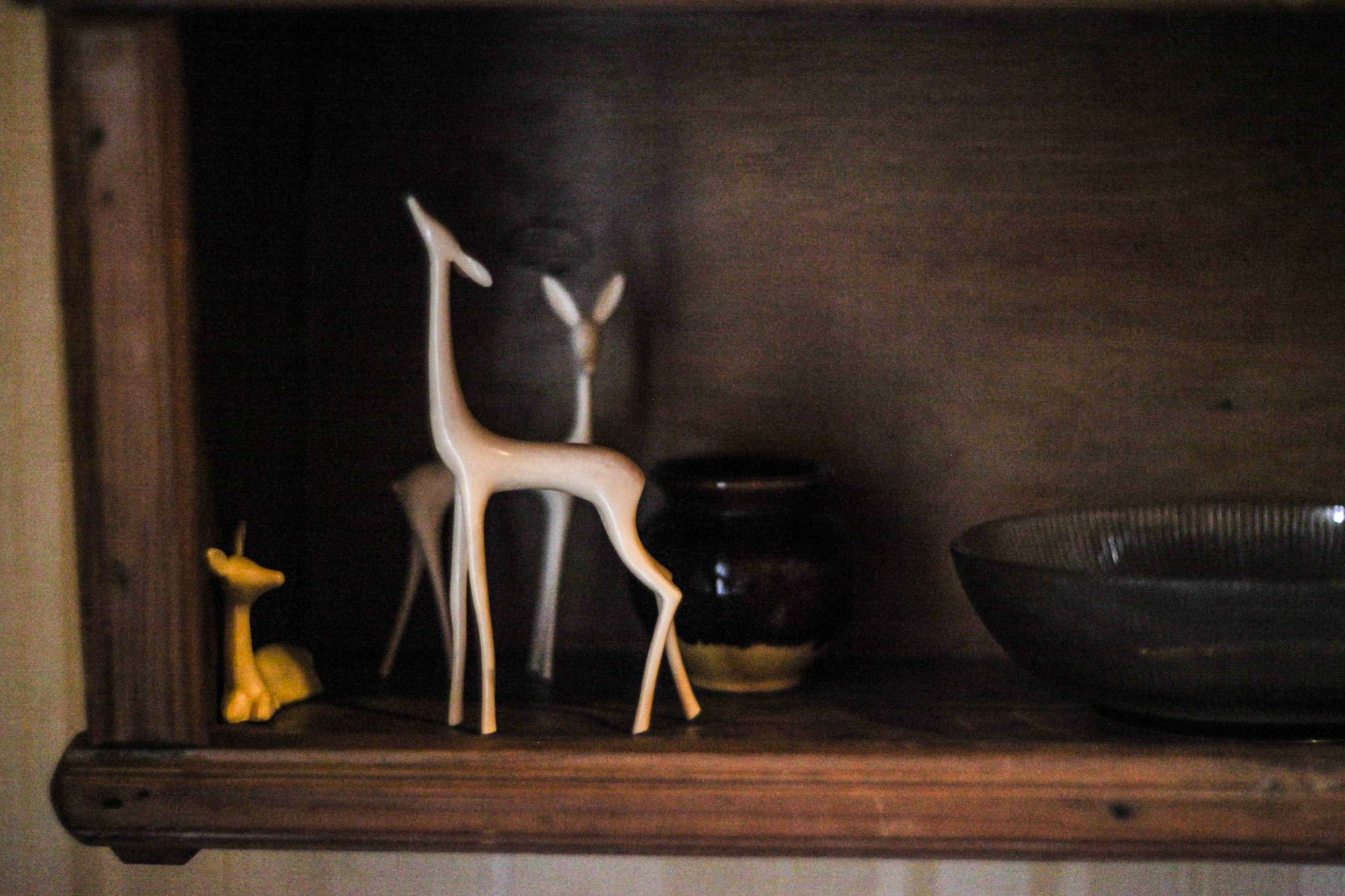 Дунино. Фотограф Москва и область