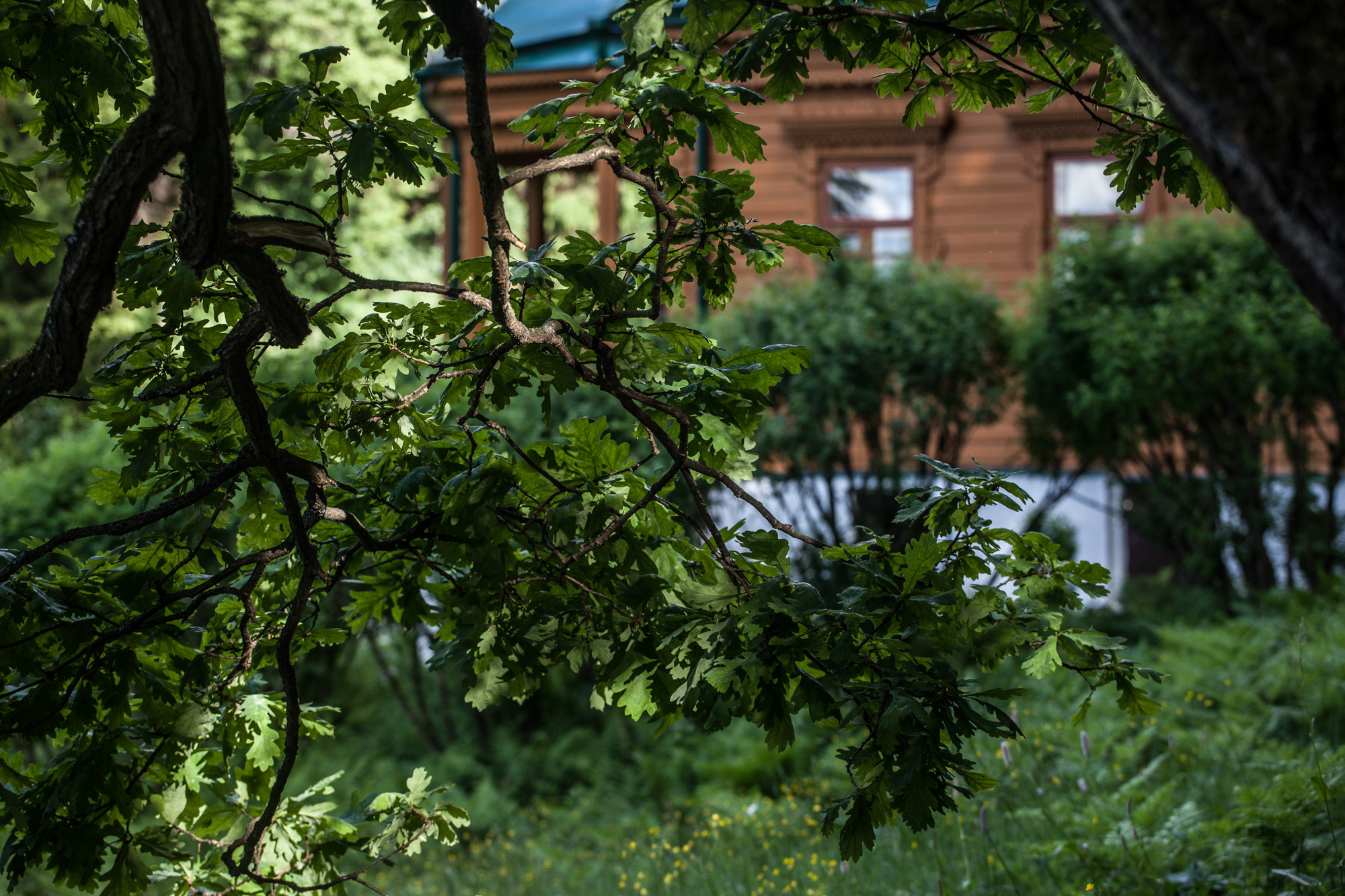 Дунино. Фотограф Москва и область