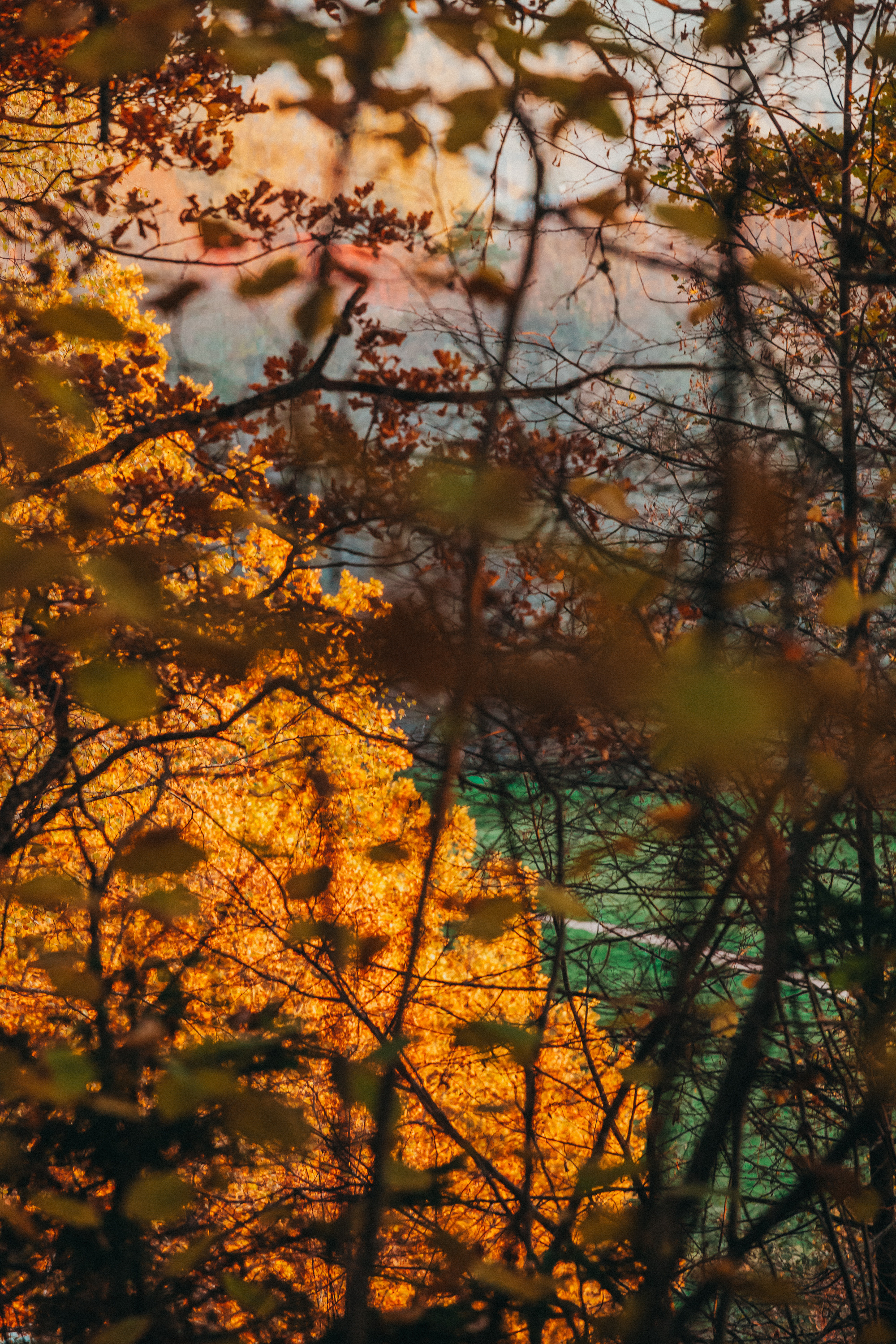 Каменоломни. Фотограф Москва и область