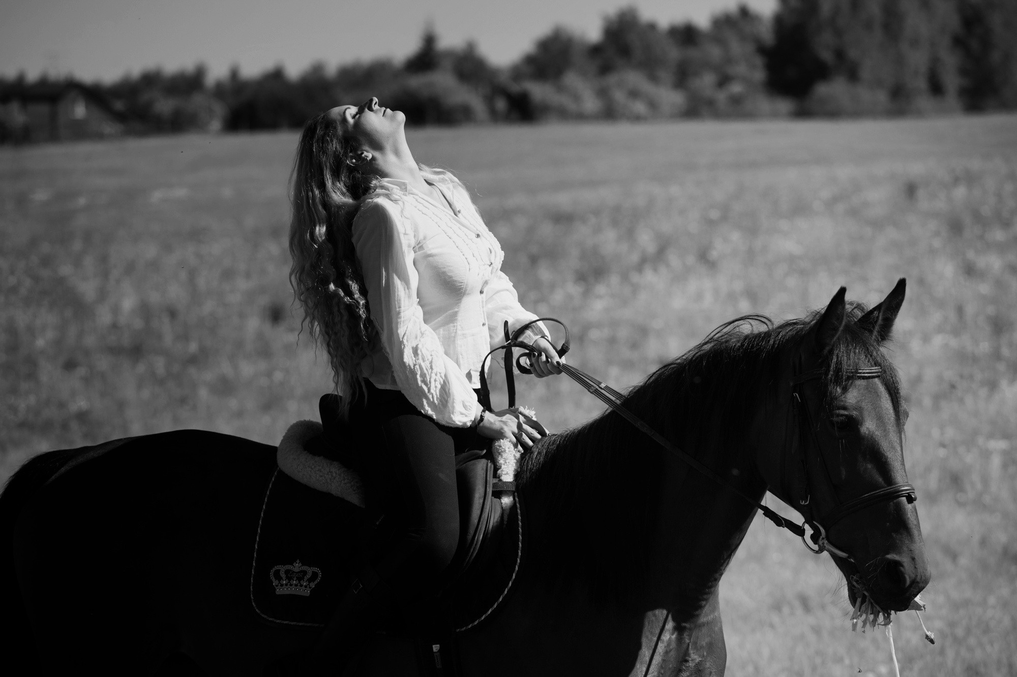 Лошадки и Ася. Фотограф Москва и область