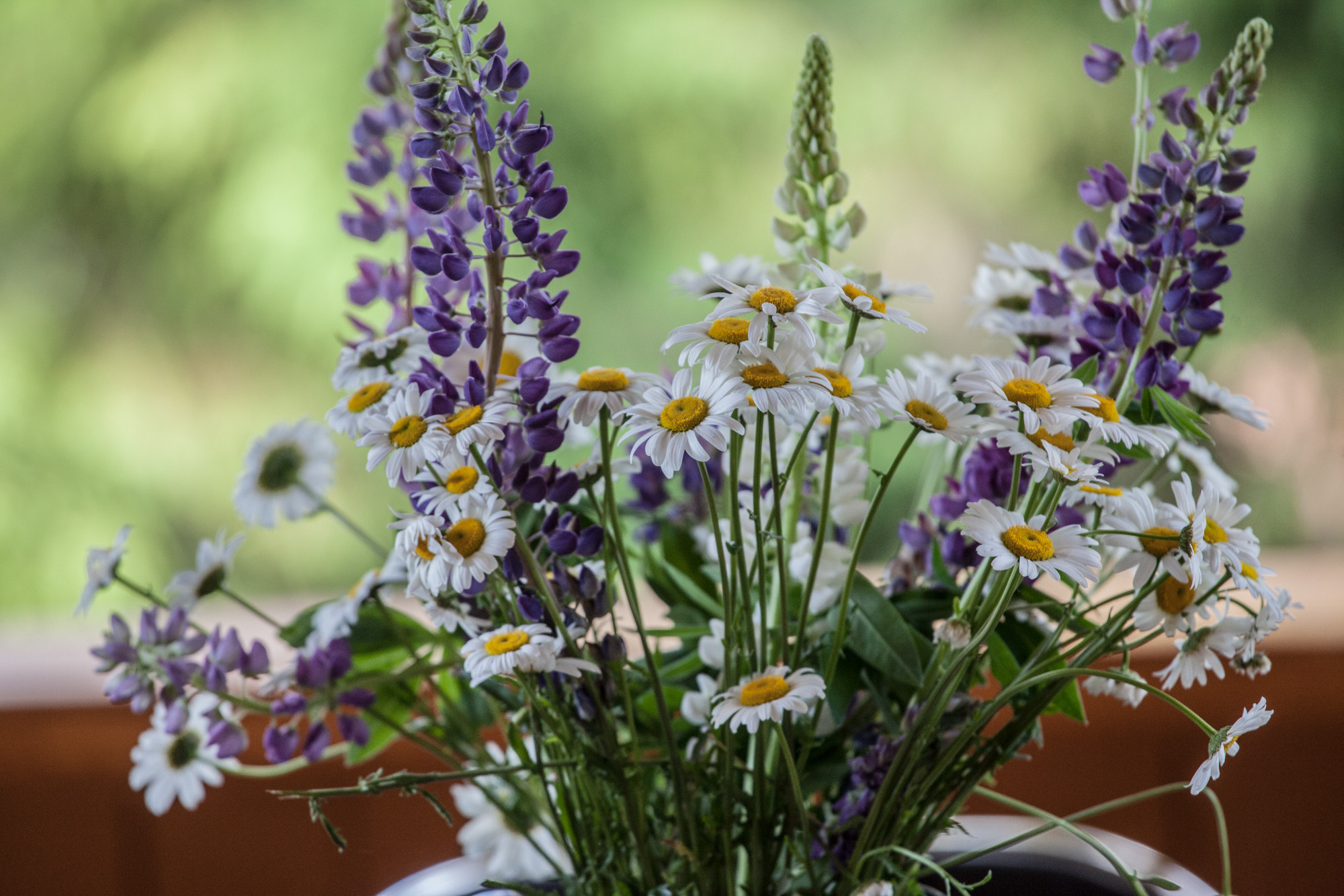 Дунино. Фотограф Москва и область