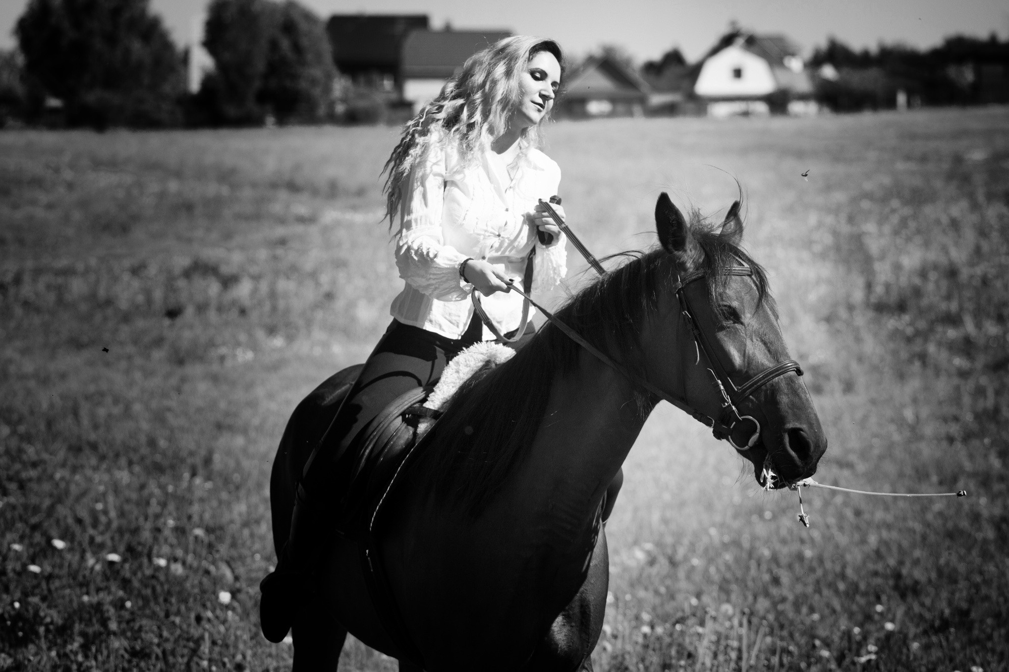 Лошадки и Ася. Фотограф Москва и область