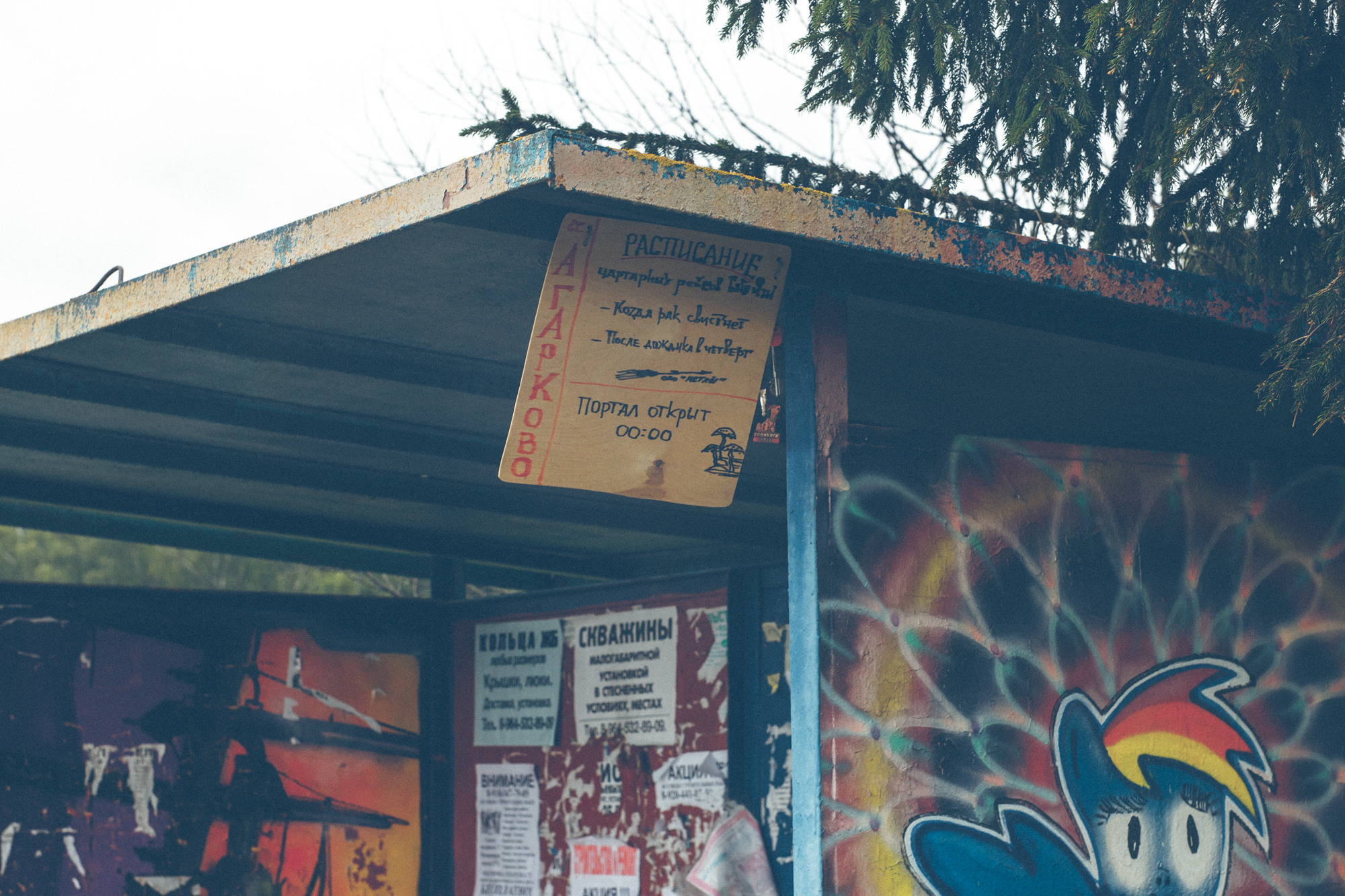 Хагрид. Фотограф Москва и область