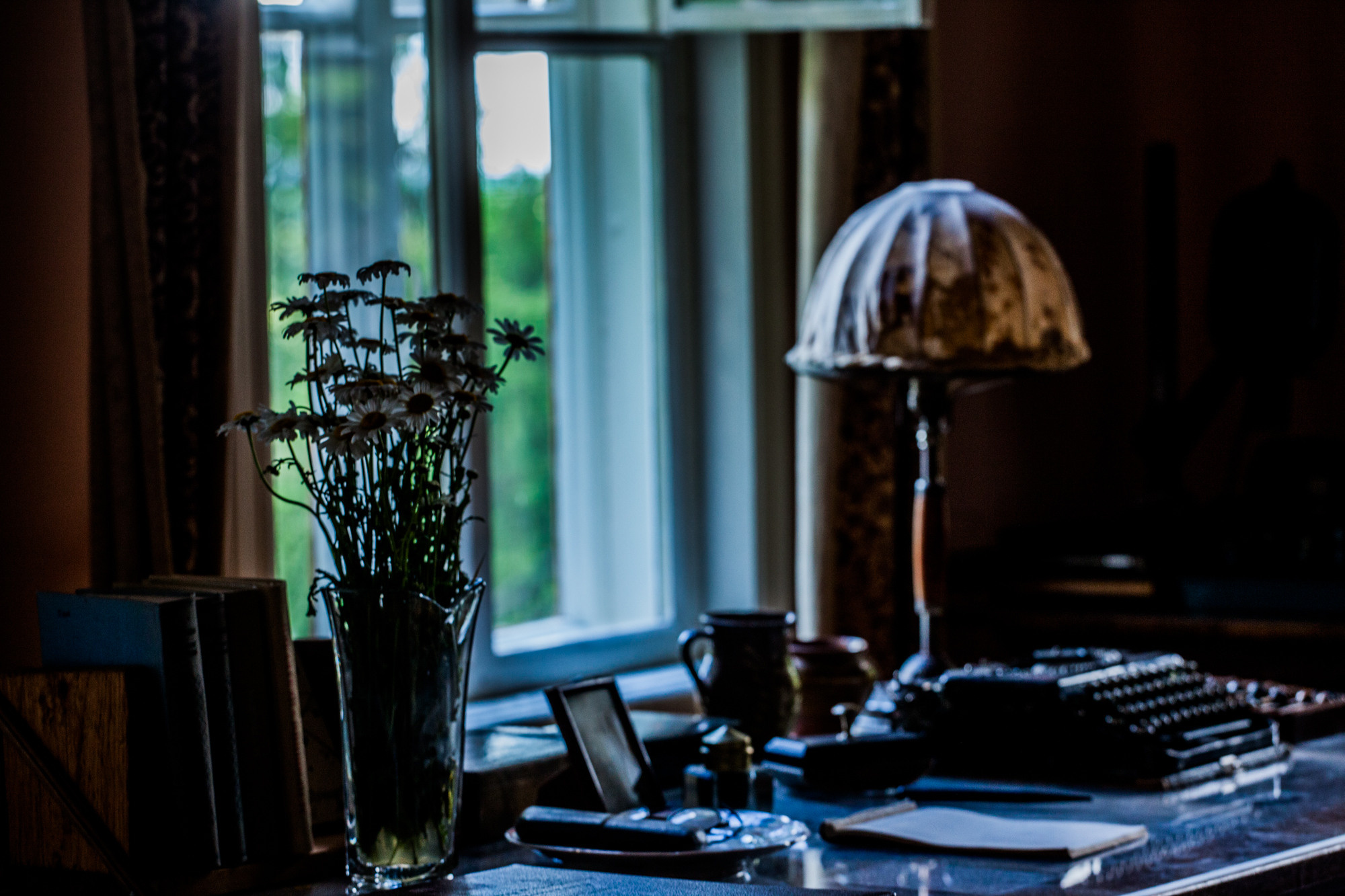 Дунино. Фотограф Москва и область