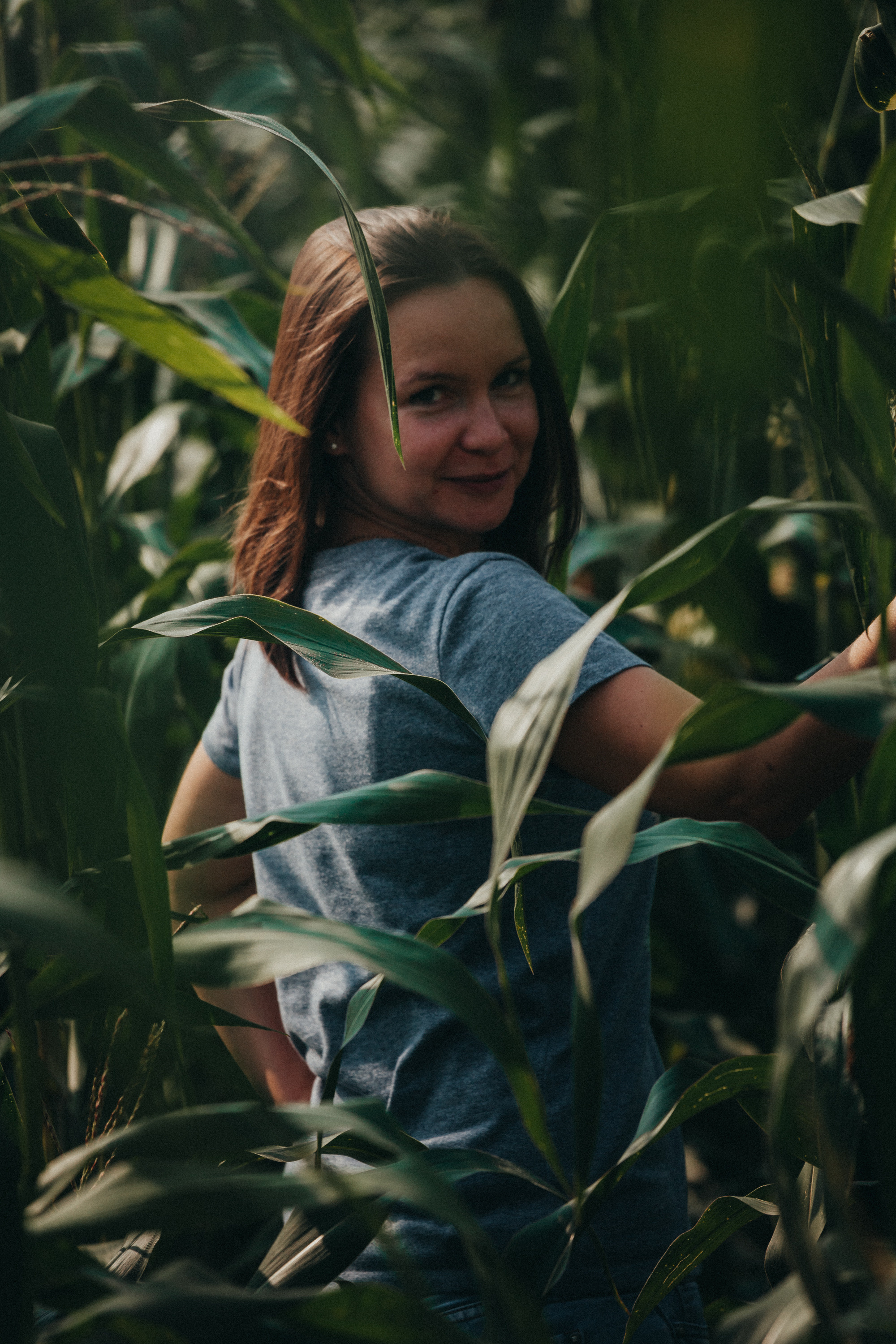 Кукуруза. Фотограф Москва и область