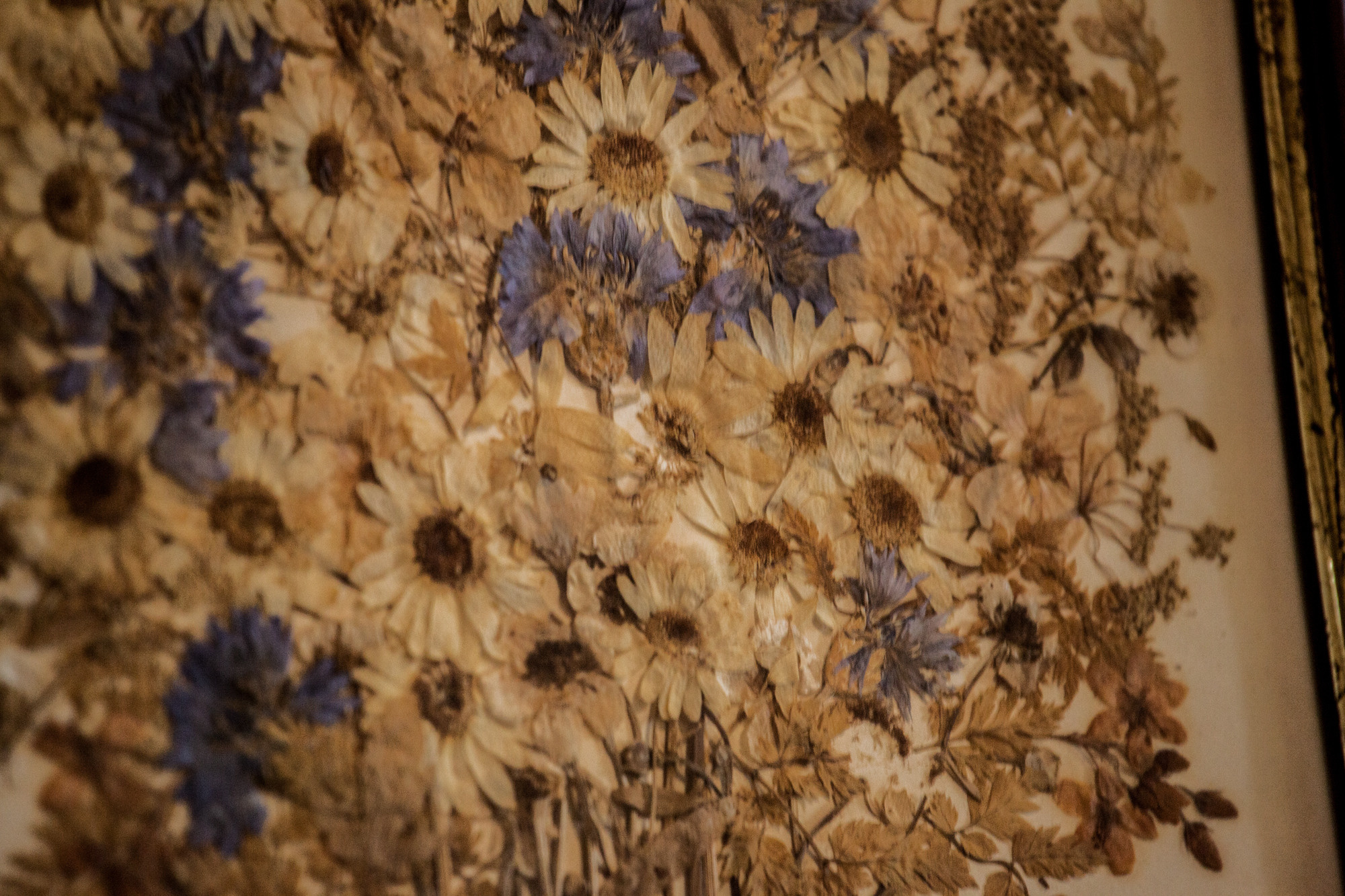 Дунино. Фотограф Москва и область