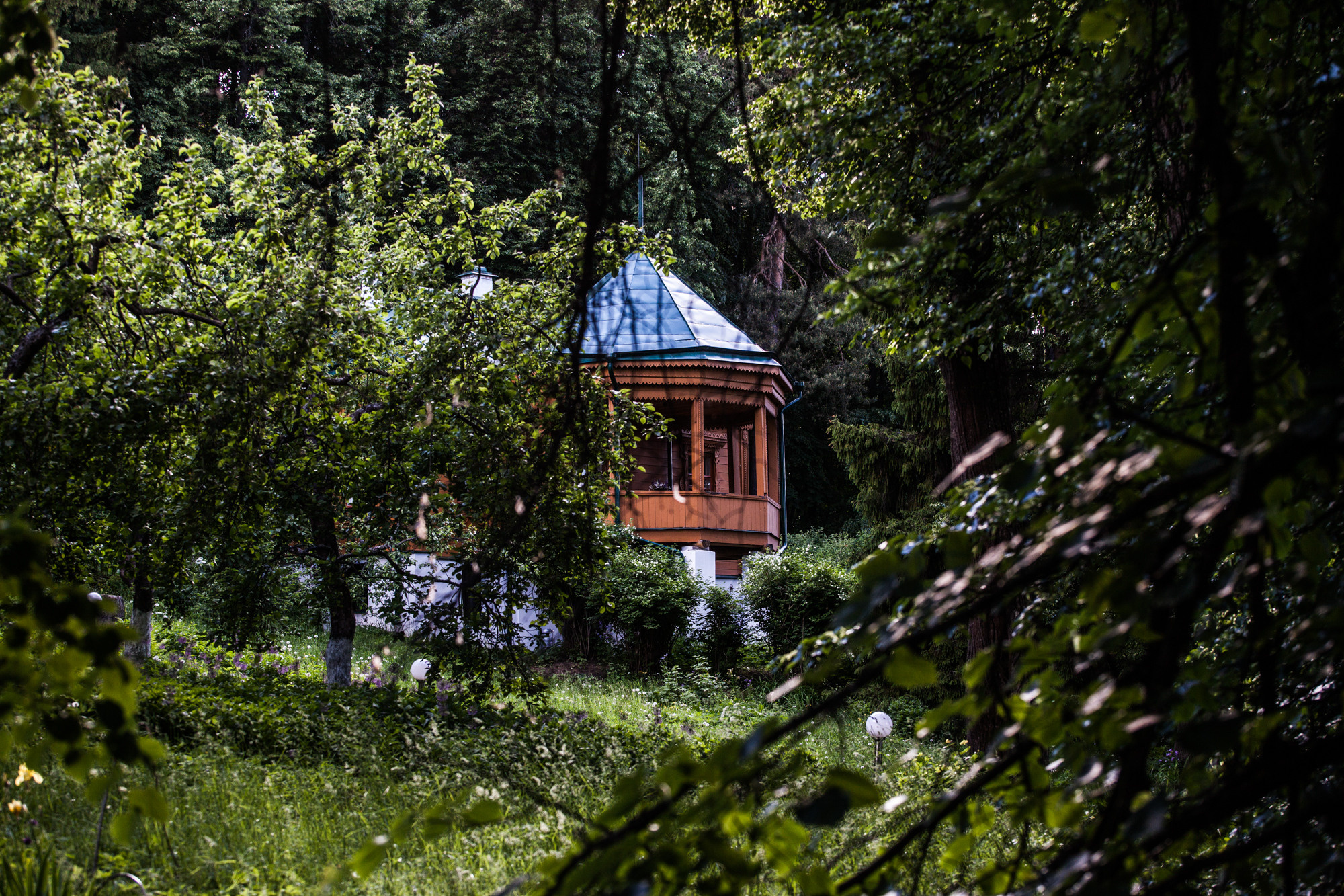 Дунино. Фотограф Москва и область