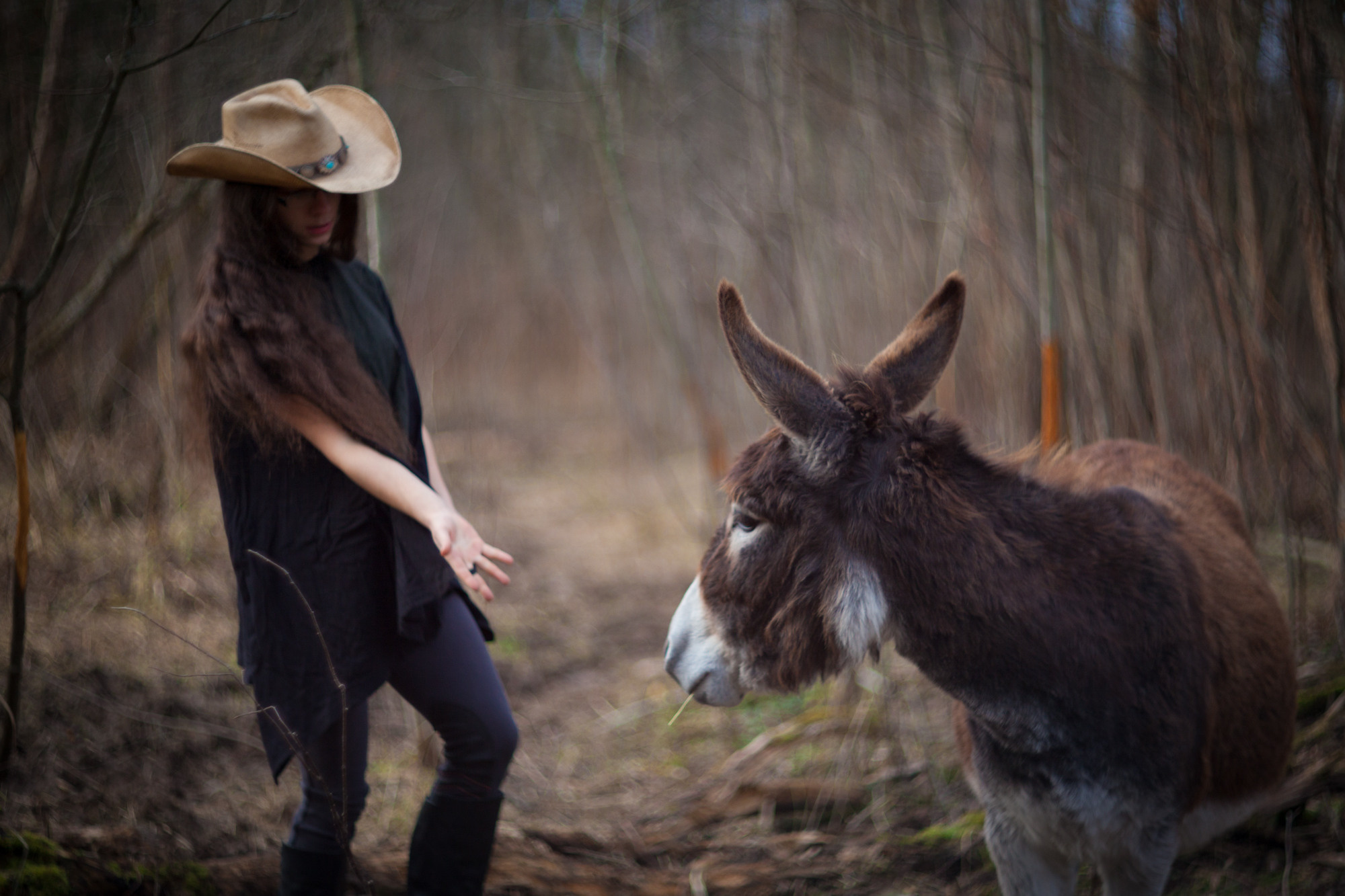 Фермерская жизнь. Фотограф Москва и область