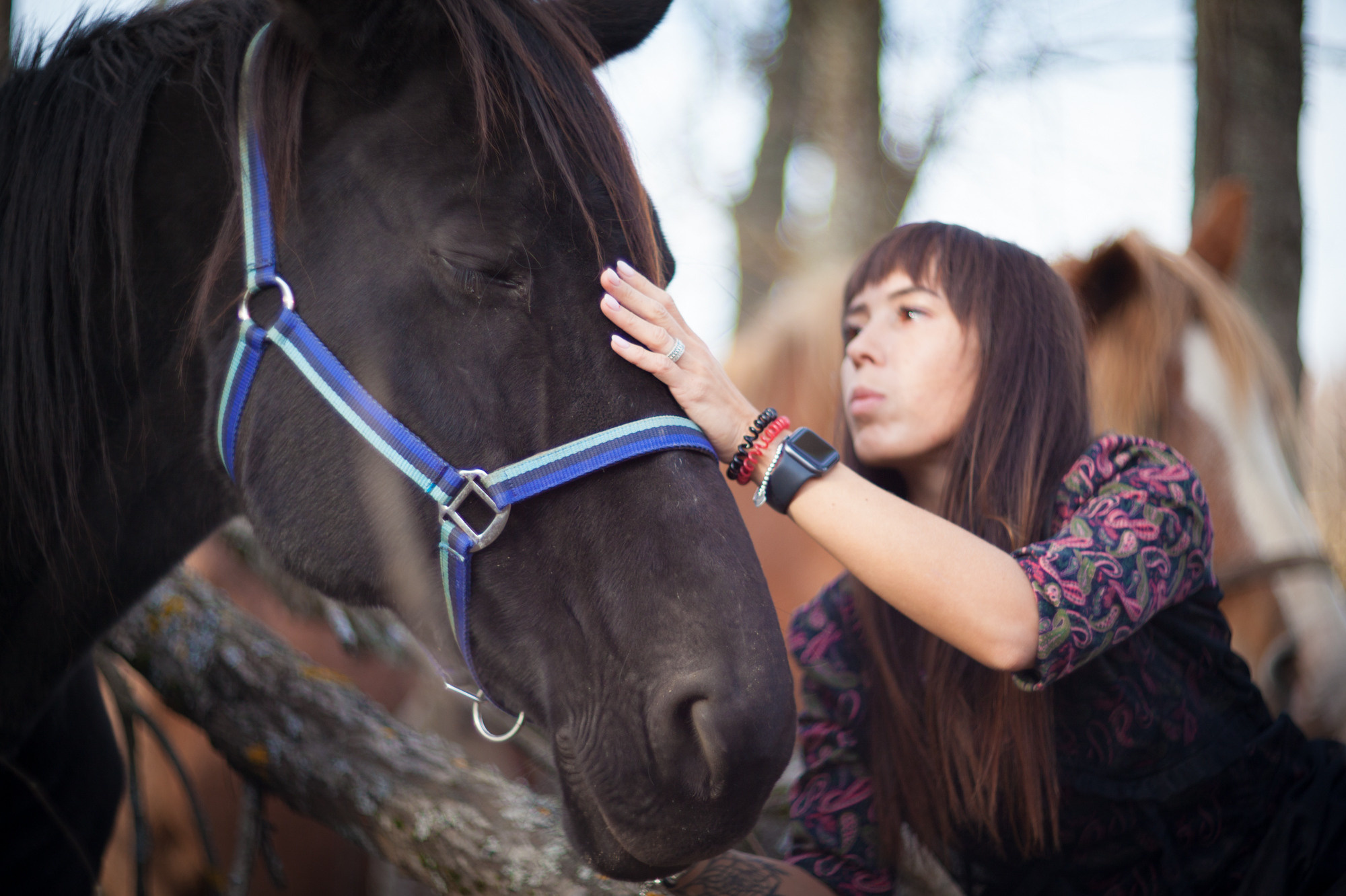 Фермерская жизнь. Фотограф Москва и область