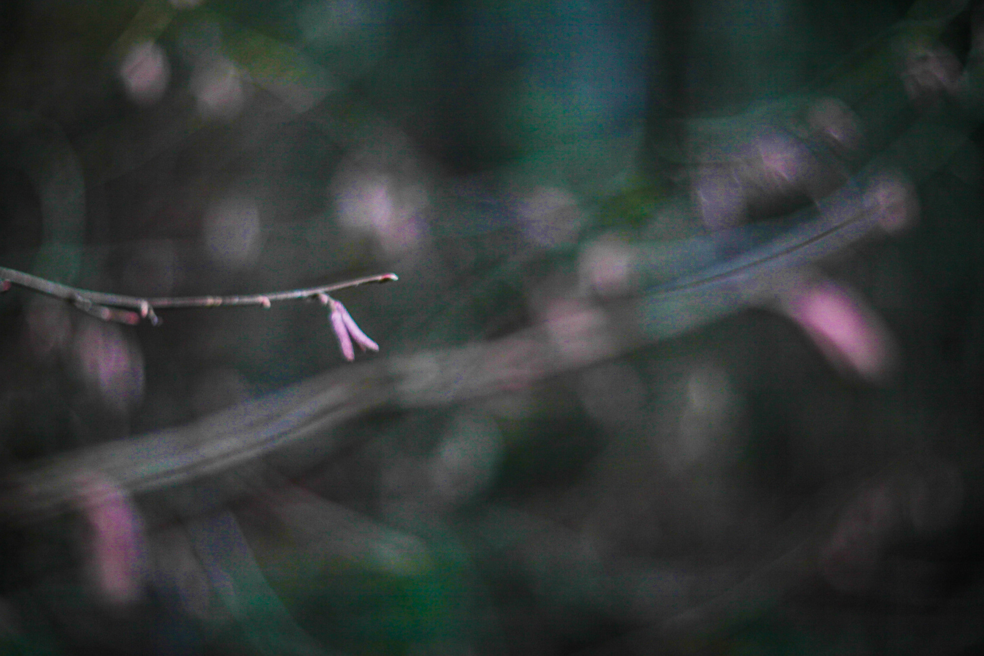 Дунино. Фотограф Москва и область