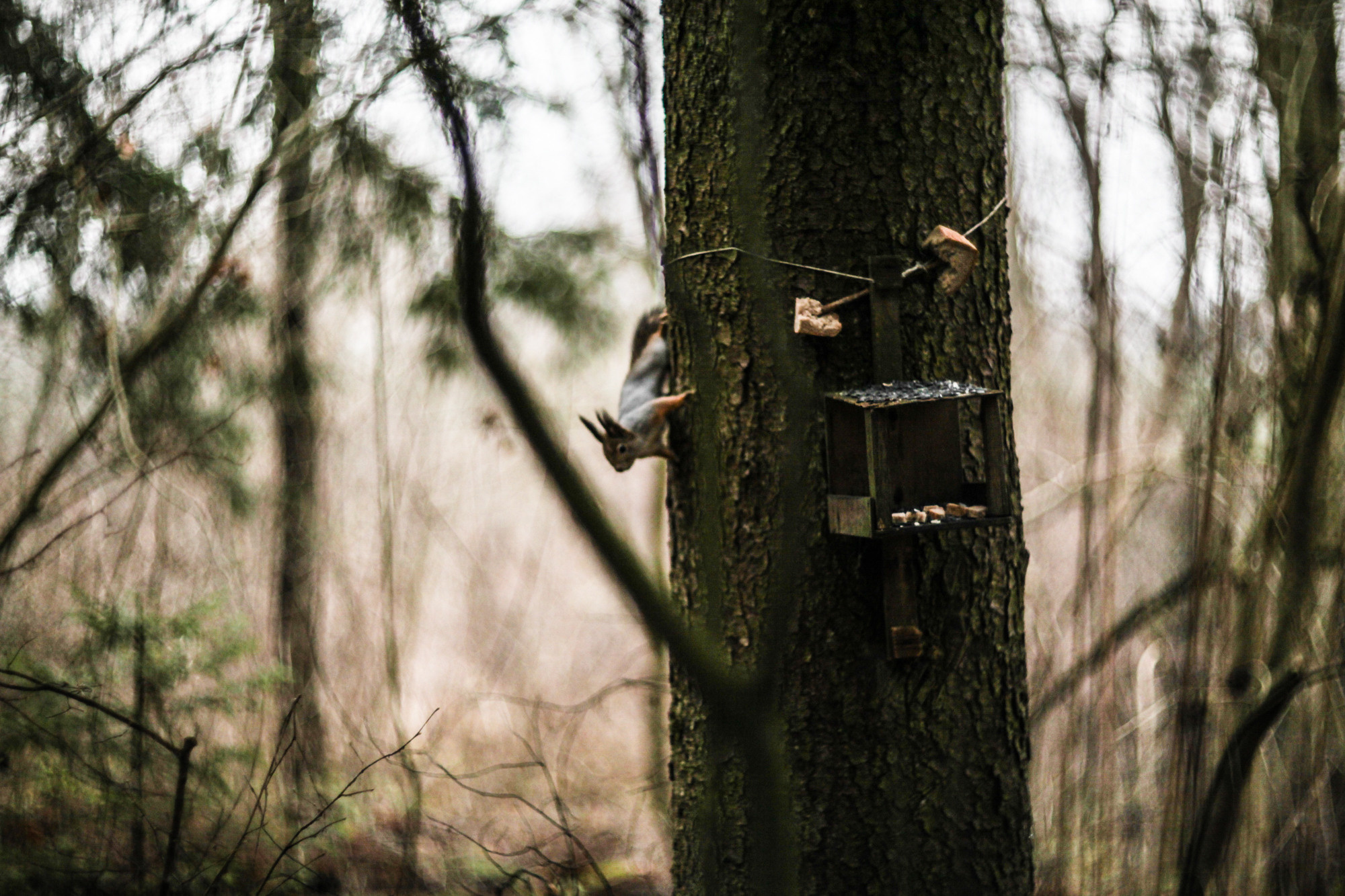 Дунино. Фотограф Москва и область