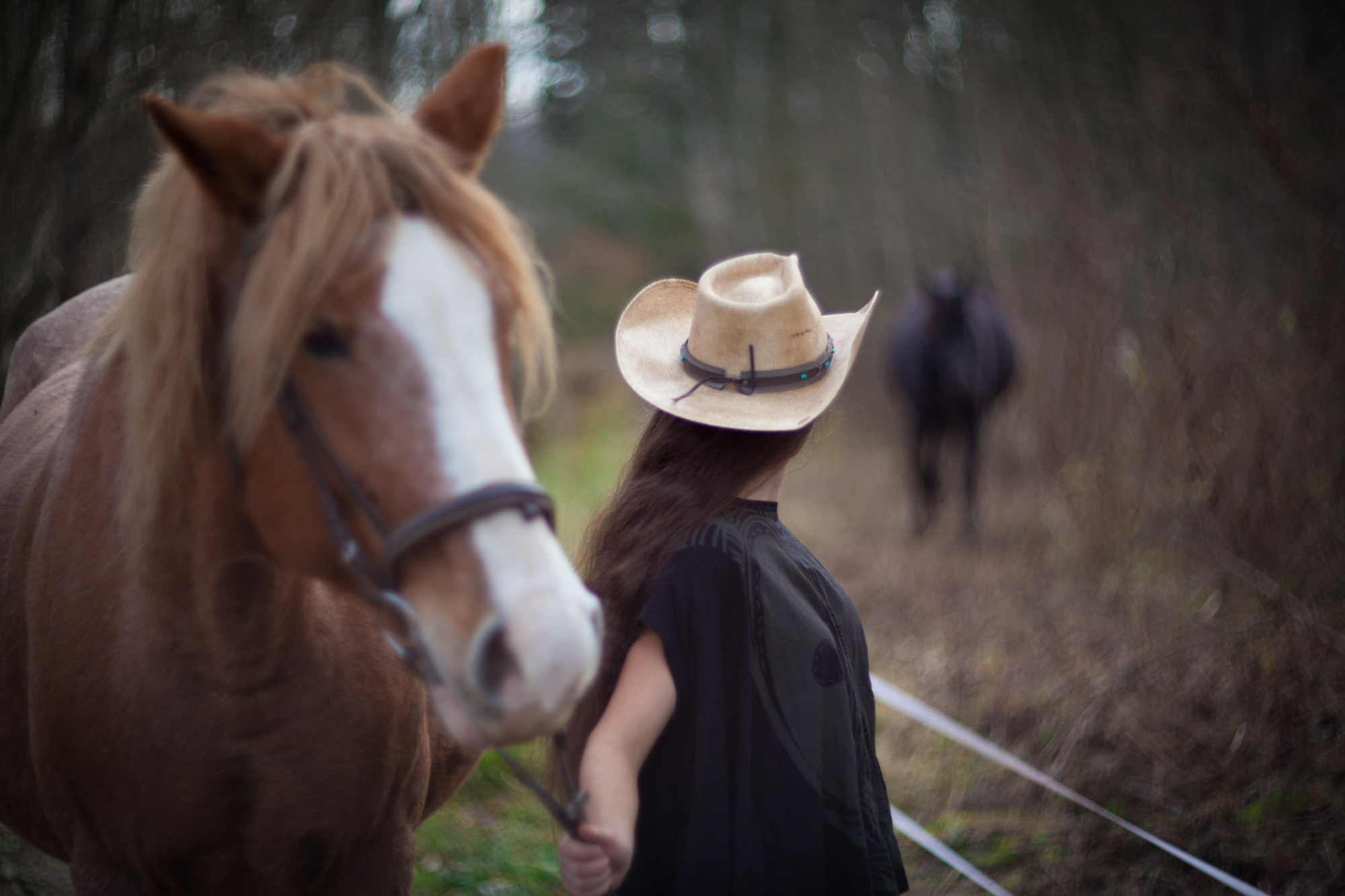 Фермерская жизнь. Фотограф Москва и область