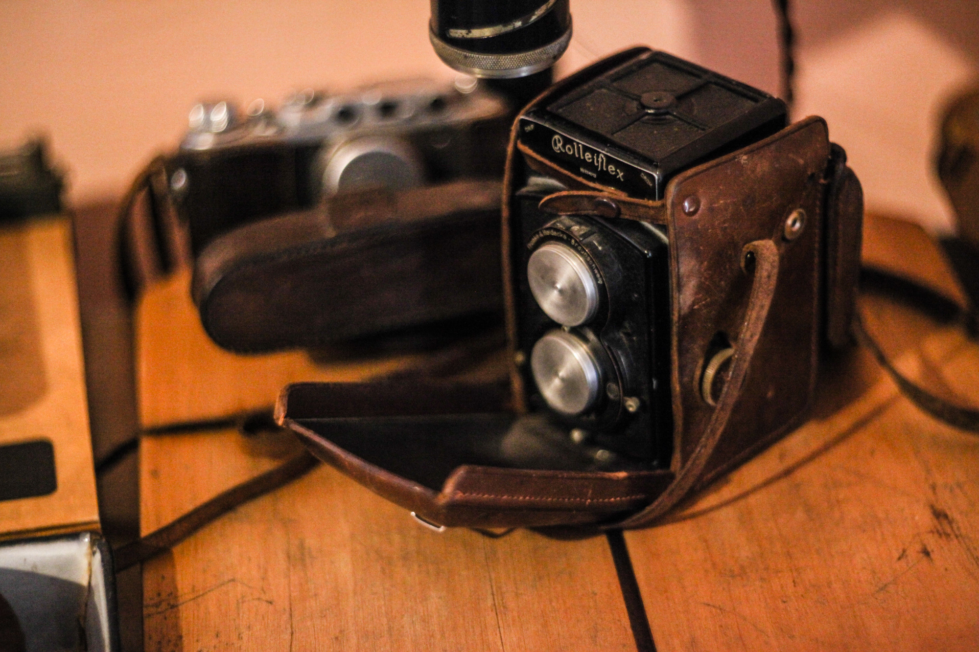 Дунино. Фотограф Москва и область