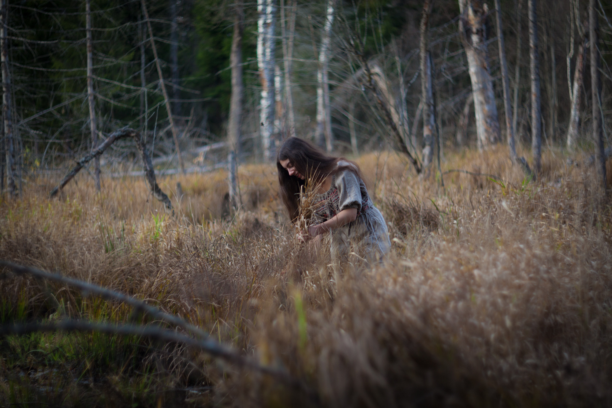 Фермерская жизнь. Фотограф Москва и область