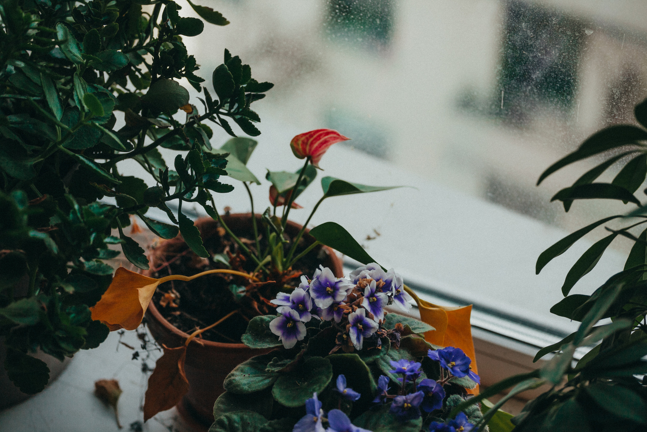 Дом Нирзнее. Фотограф Москва и область