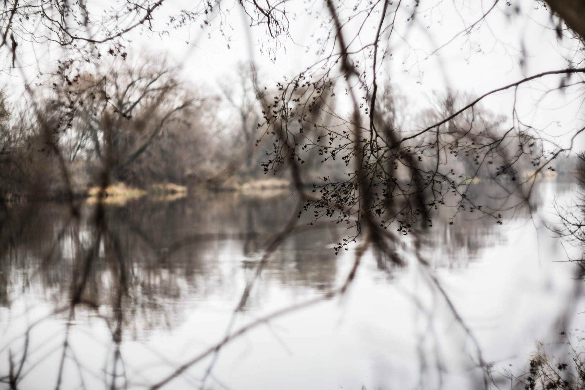Дунино. Фотограф Москва и область