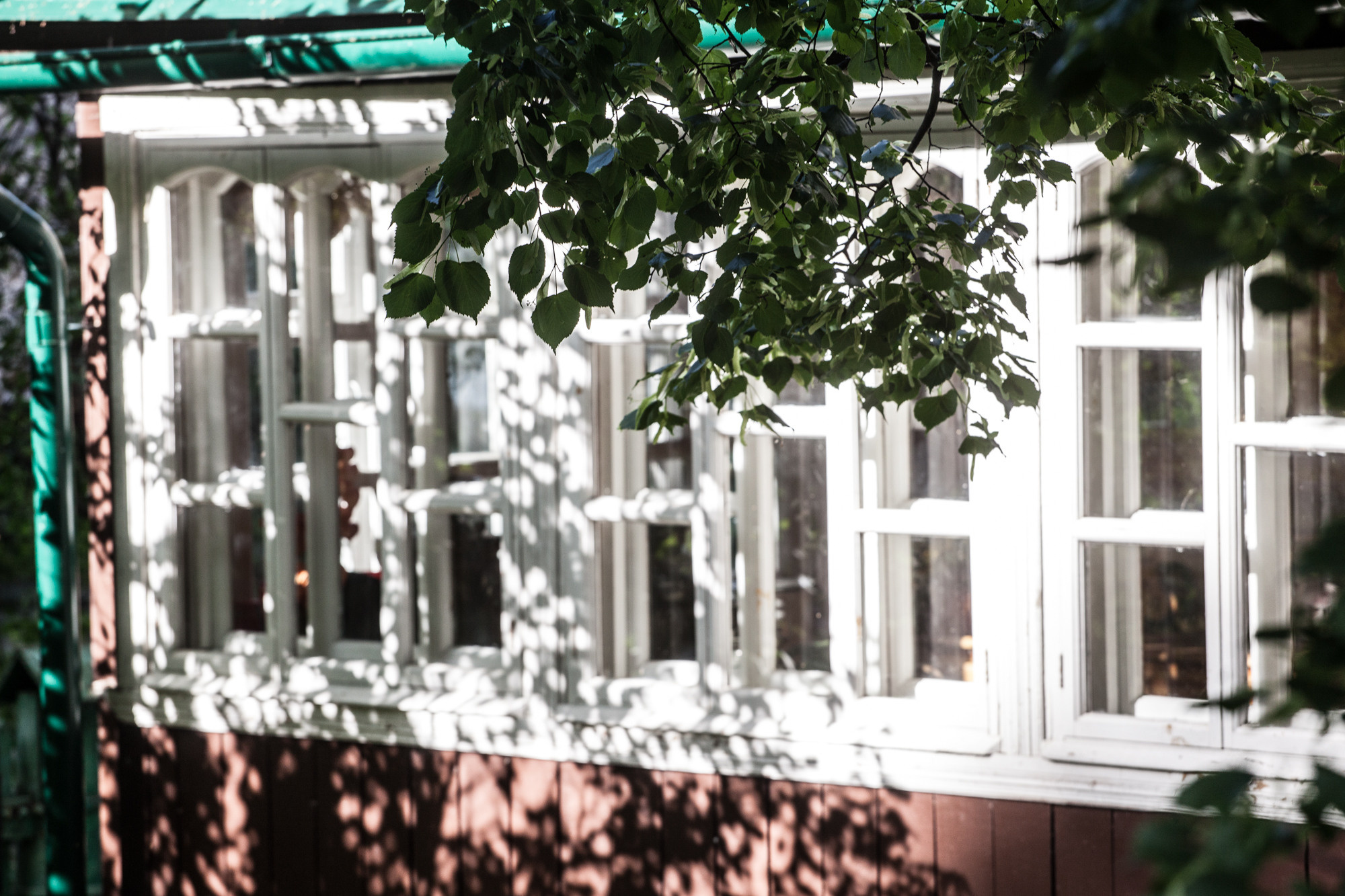 Дунино. Фотограф Москва и область