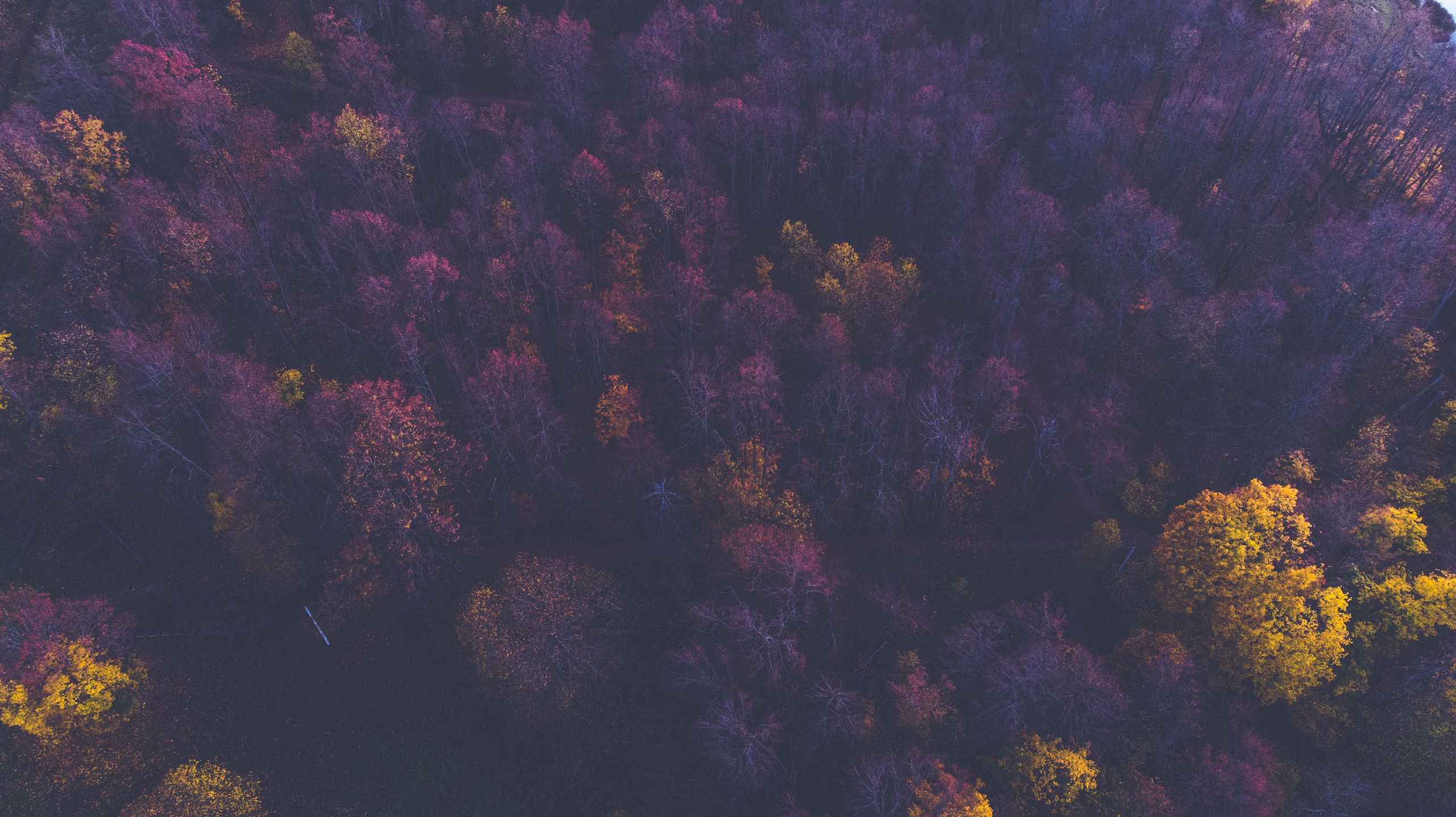 Волоколамск и окрестности. Фотограф Москва и область