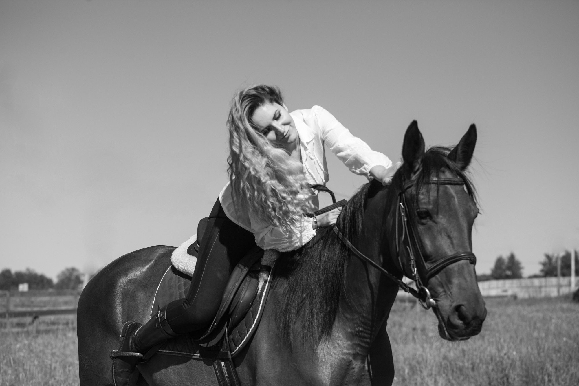 Лошадки и Ася. Фотограф Москва и область