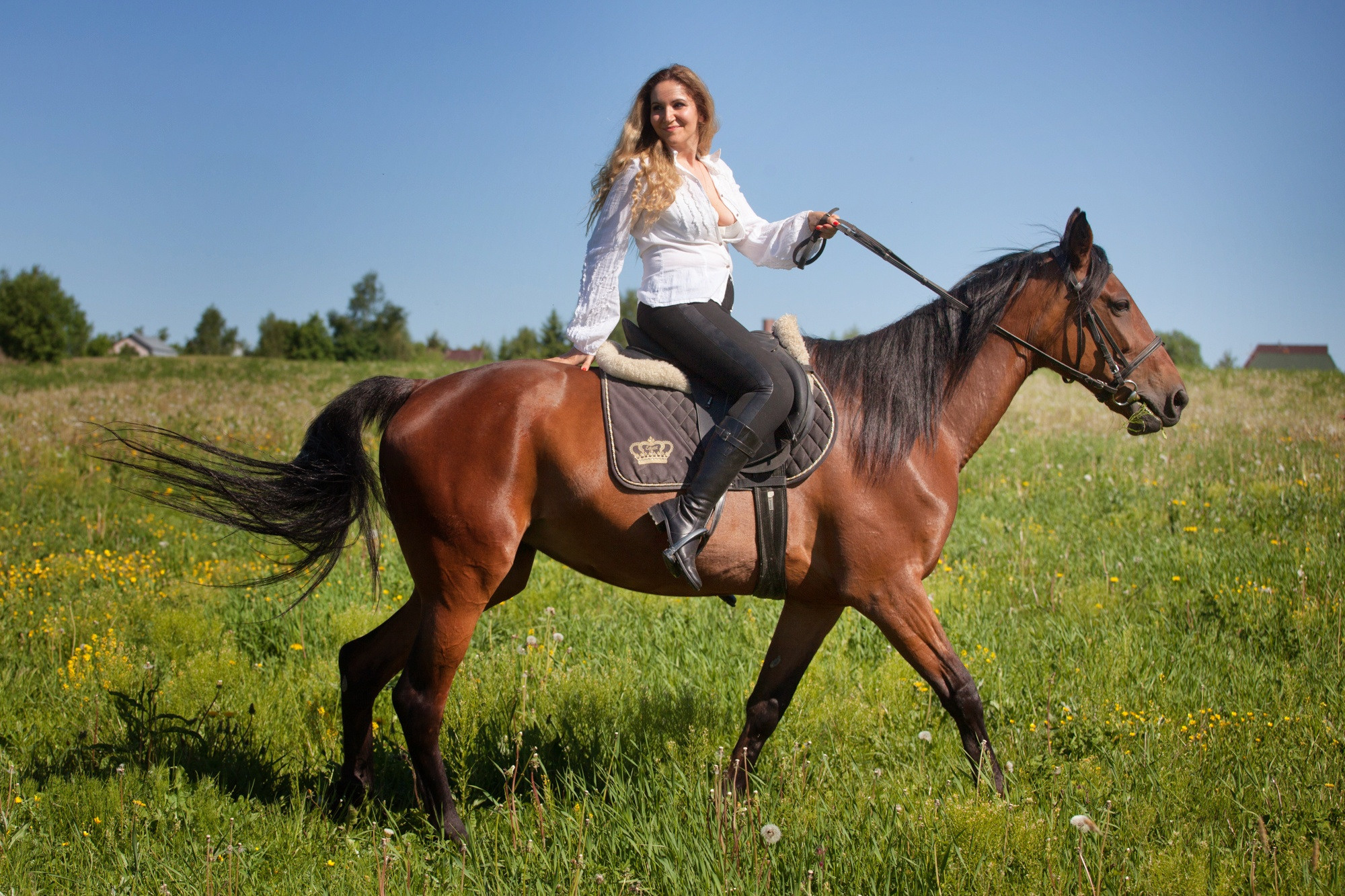 Лошадки и Ася. Фотограф Москва и область