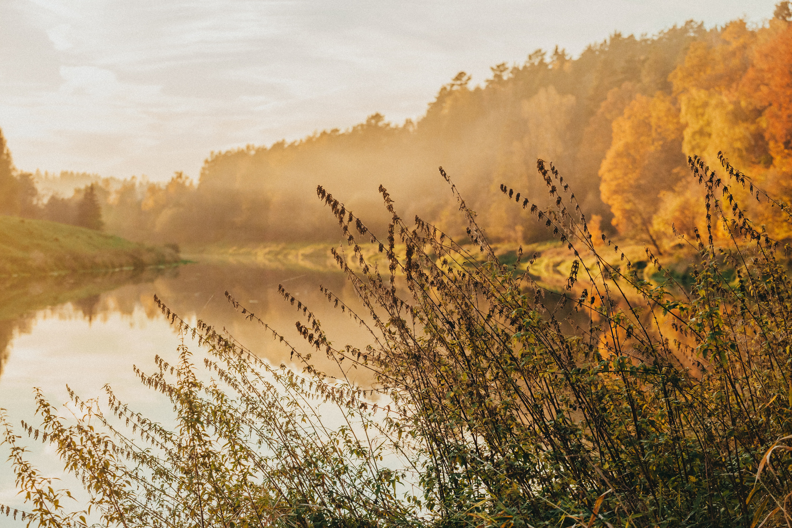 Каменоломни. Фотограф Москва и область
