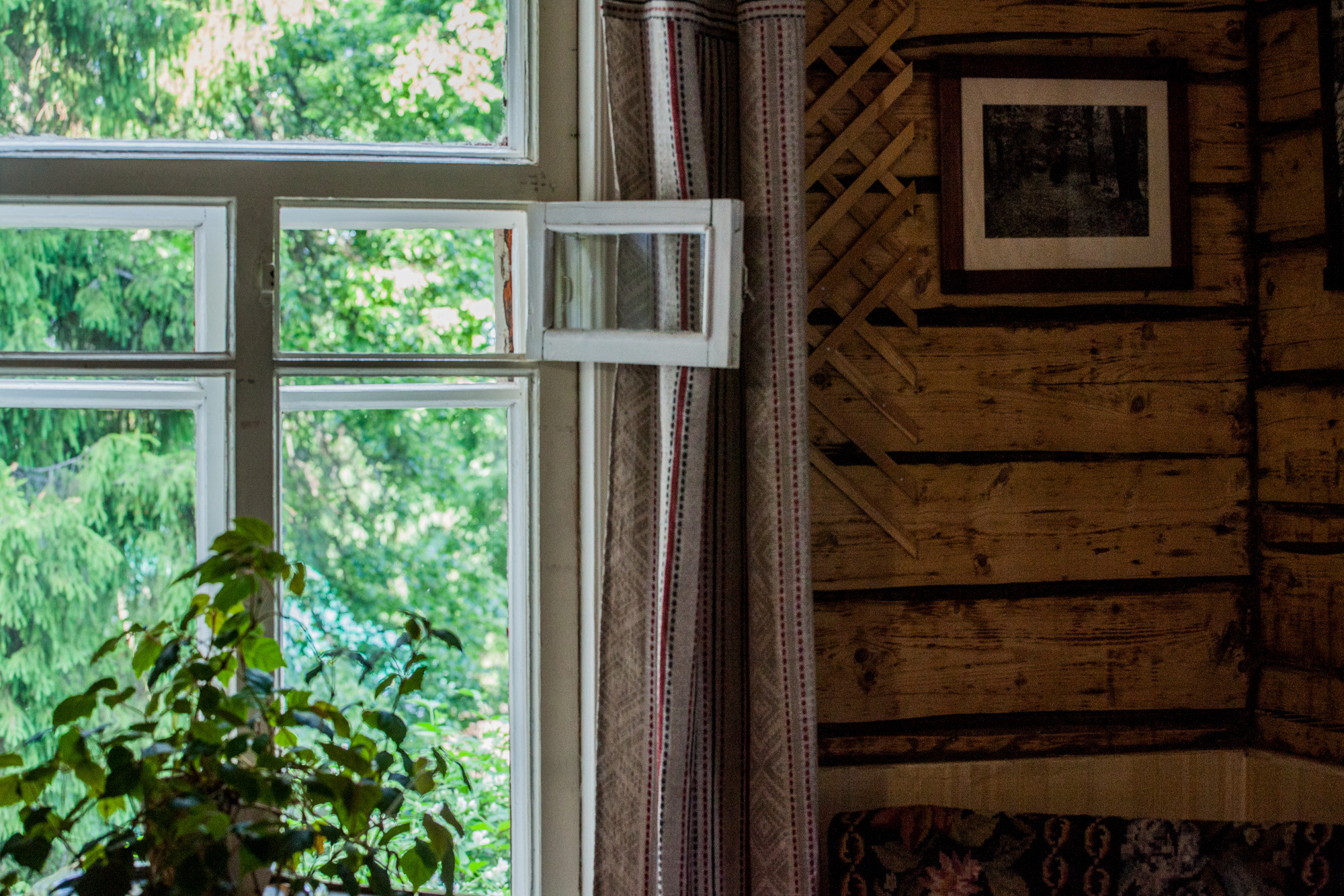 Дунино. Фотограф Москва и область