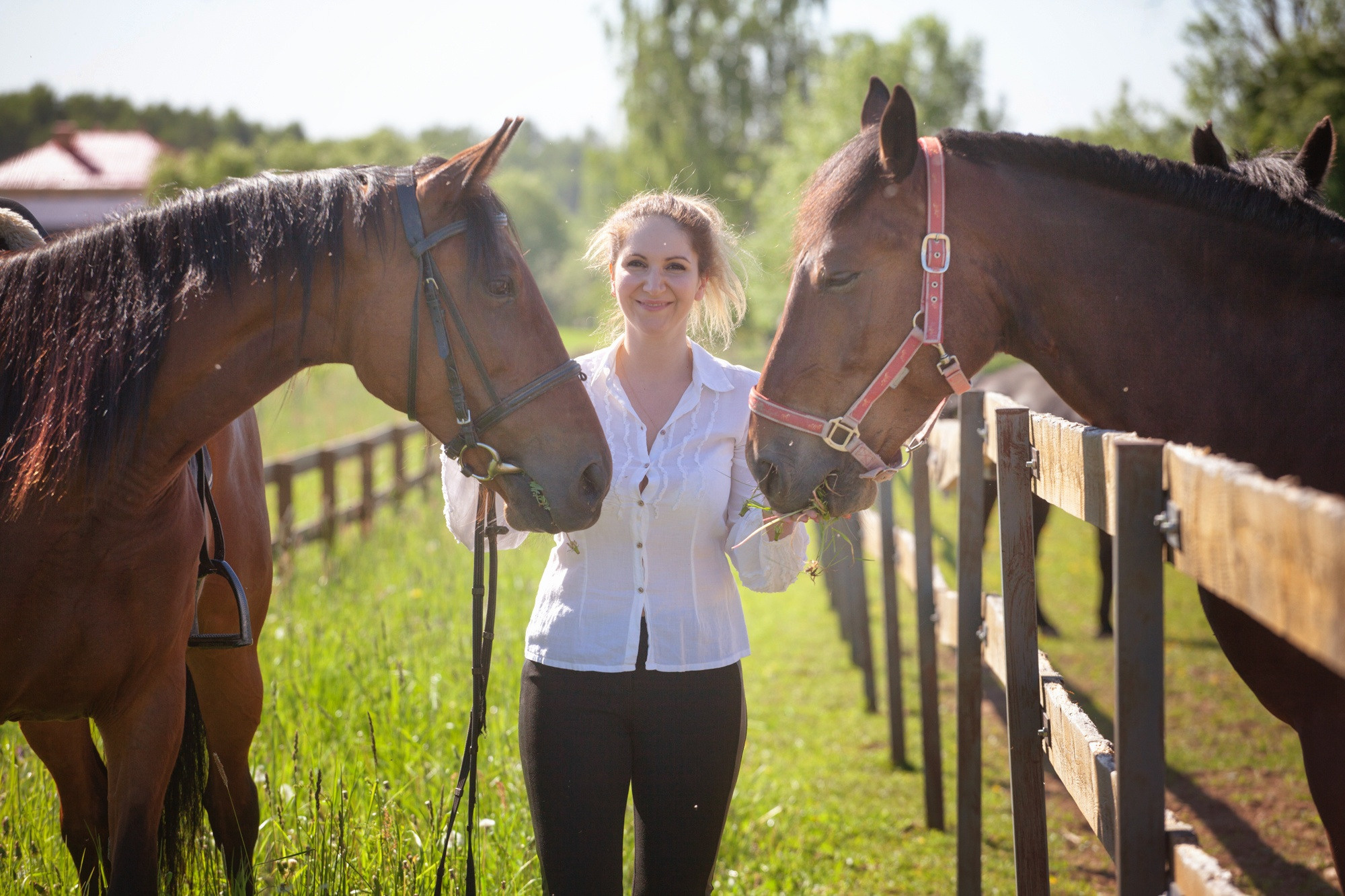 Лошадки и Ася. Фотограф Москва и область