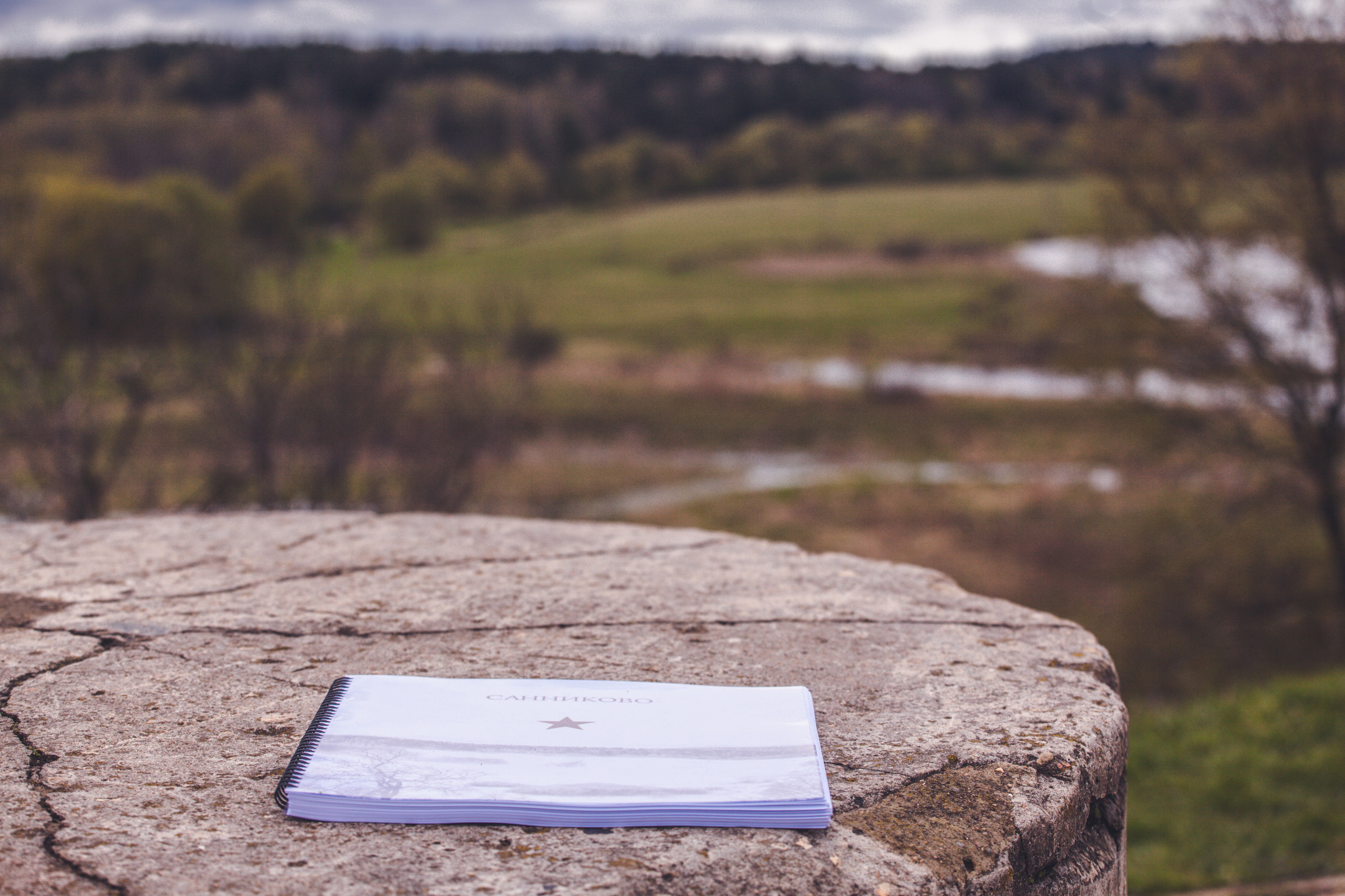 День Победы в деревне. Фотограф Москва и область