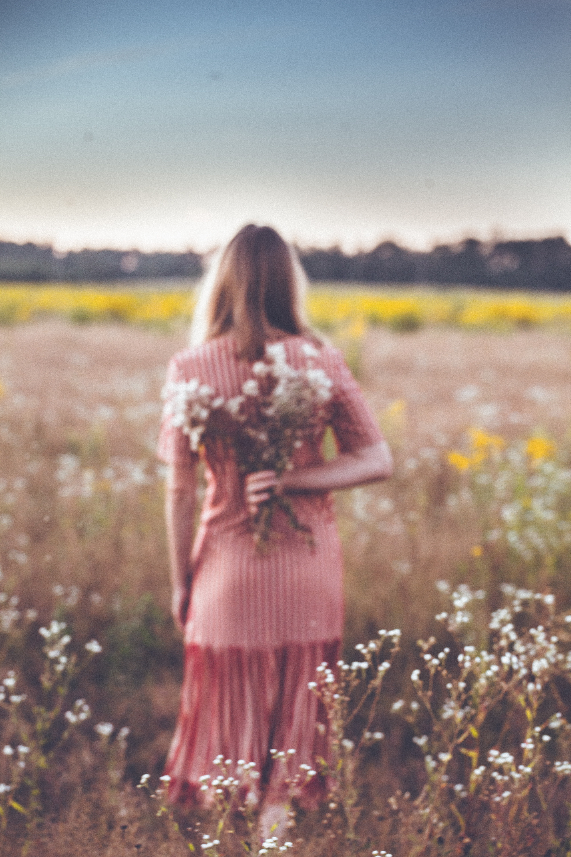 Поля. Фотограф Москва и область