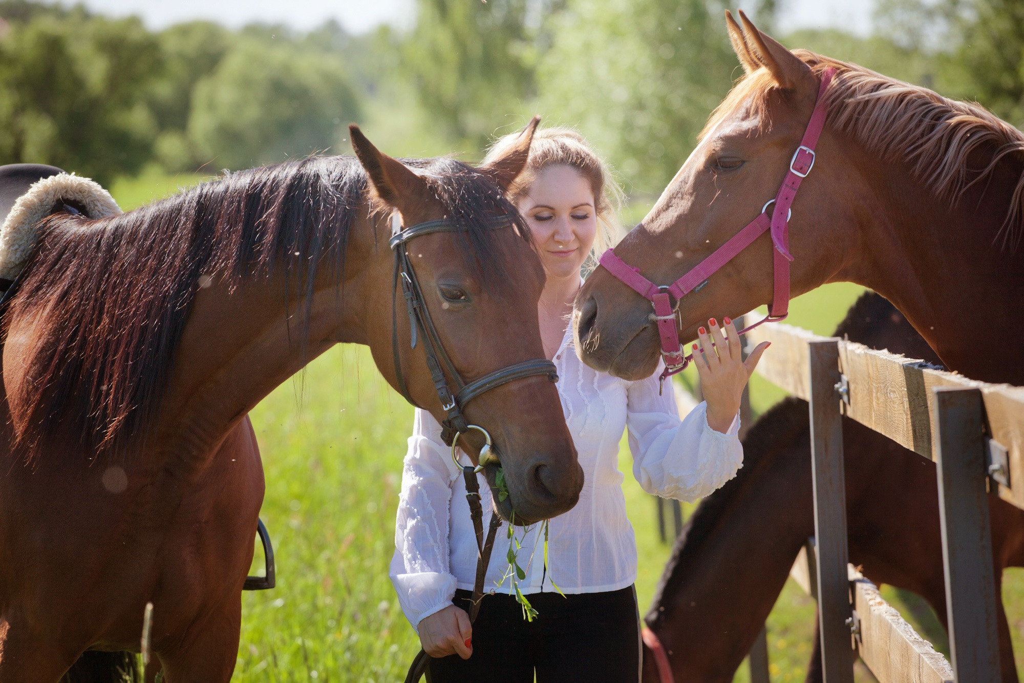 Лошадки и Ася. Фотограф Москва и область