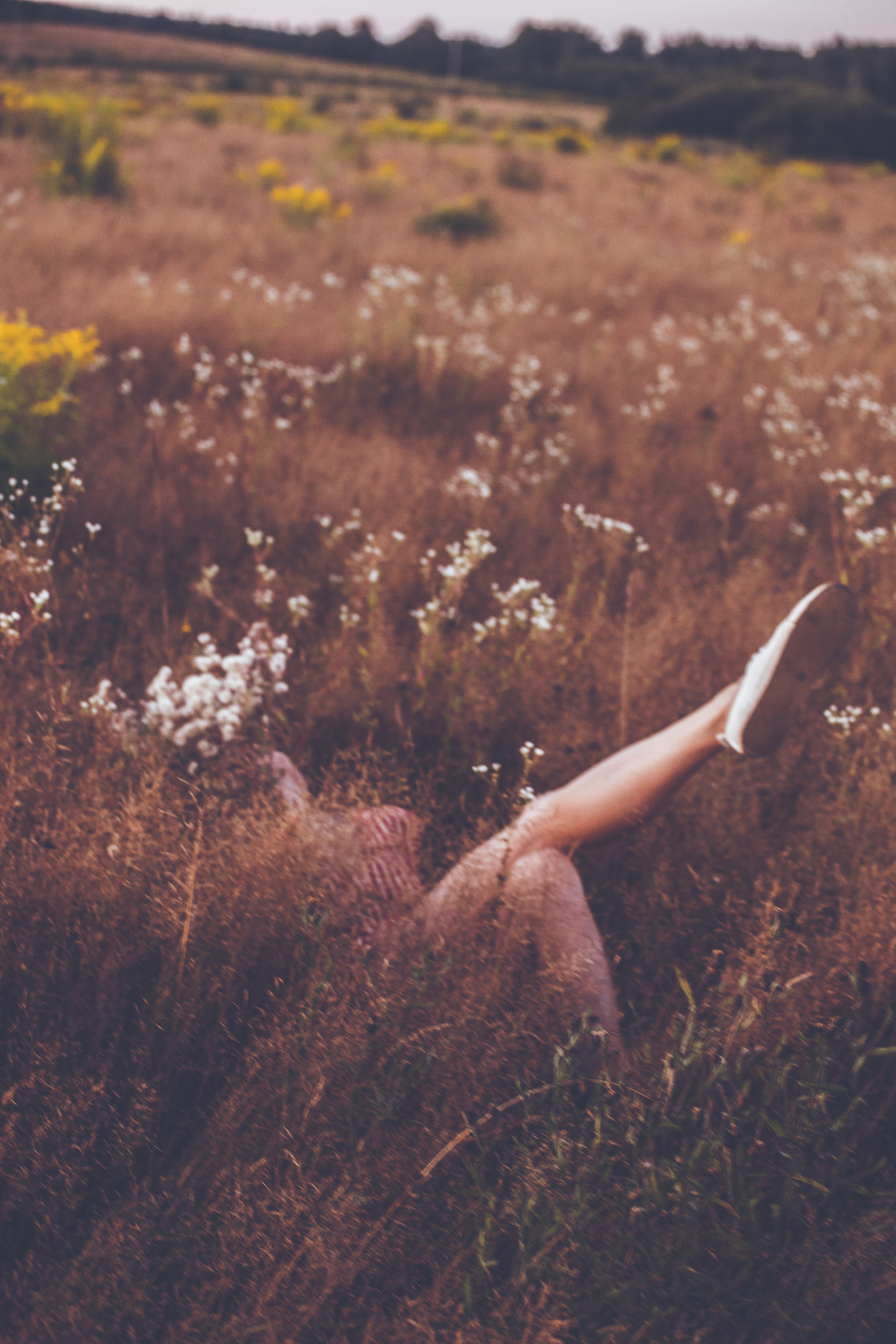 Поля. Фотограф Москва и область