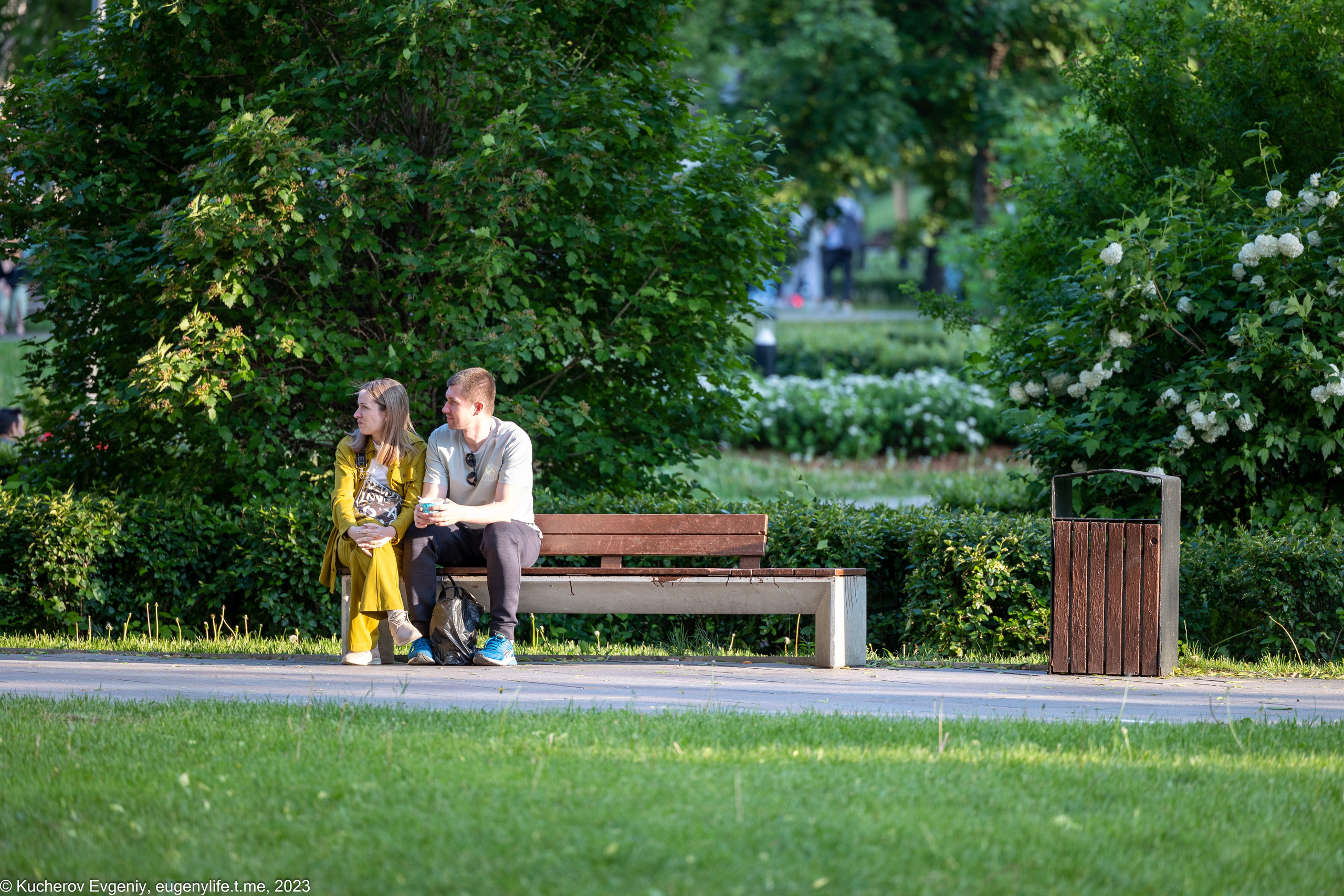 Скамейки. Кучеров Евгений. Фотограф