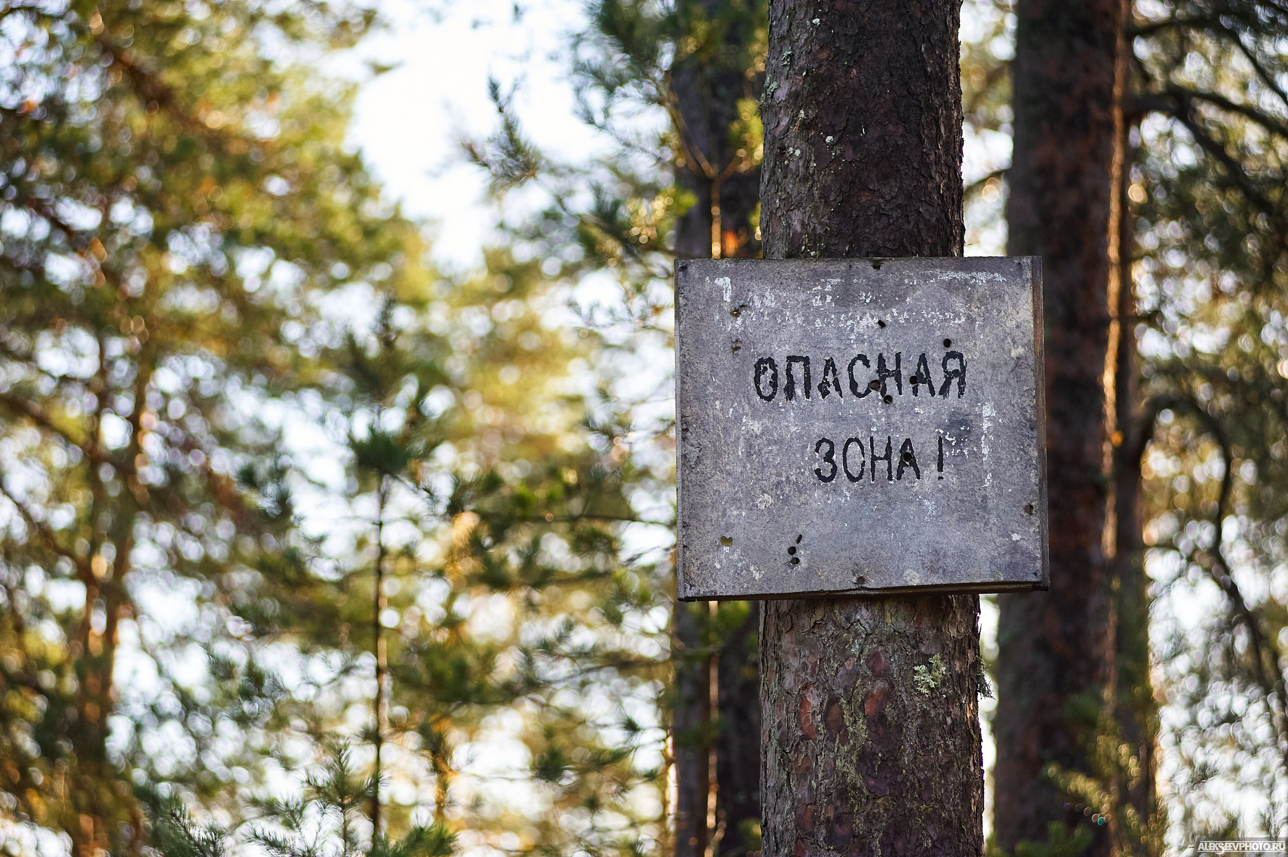 2020.10.10 — Финал Кубка ДОСААФ — Базлаг, торжественный старт. Фотограф Алексей Алексеев