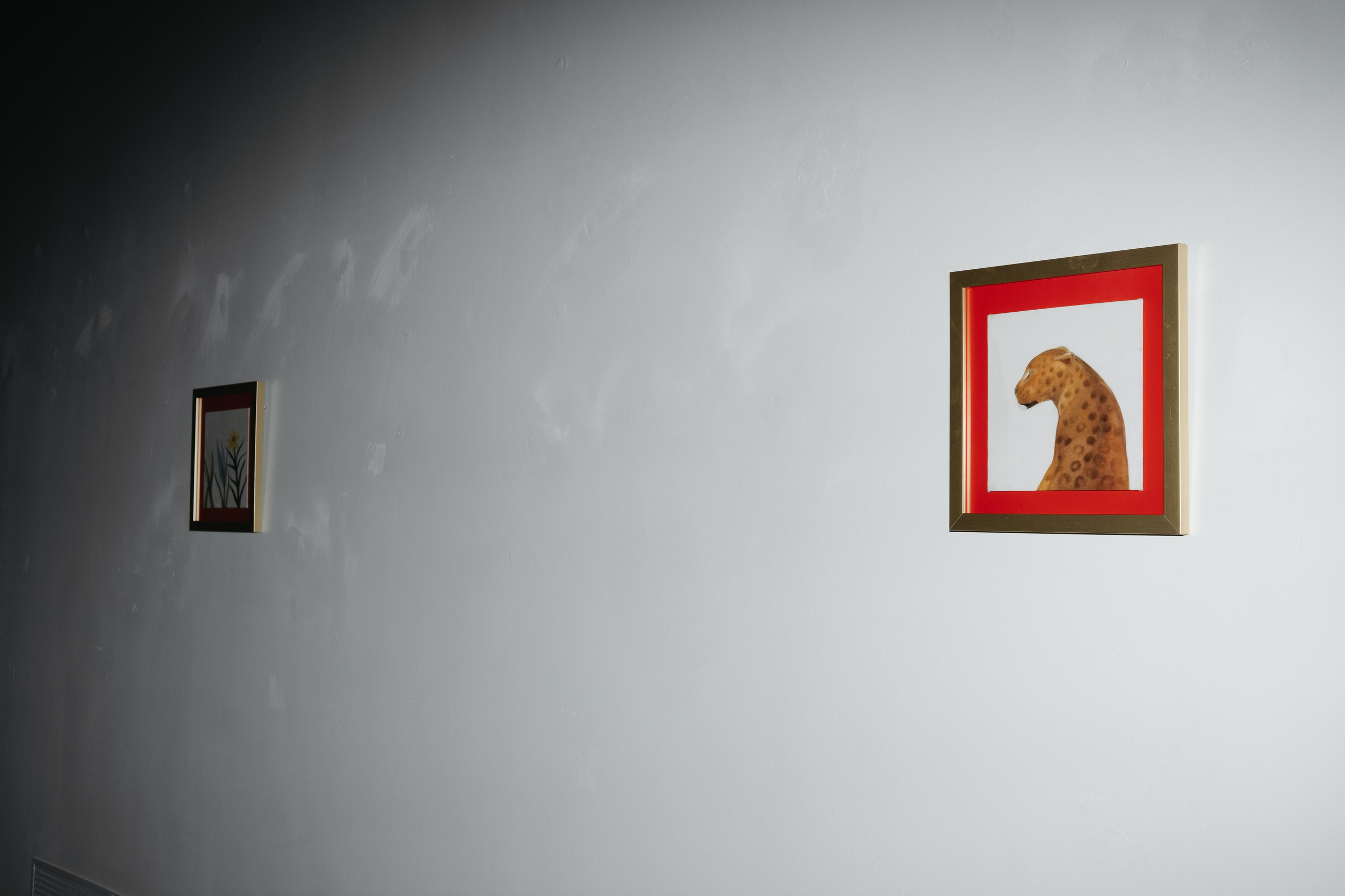 СЧАСТЬЕ & Альфия Sargin. Обо мне