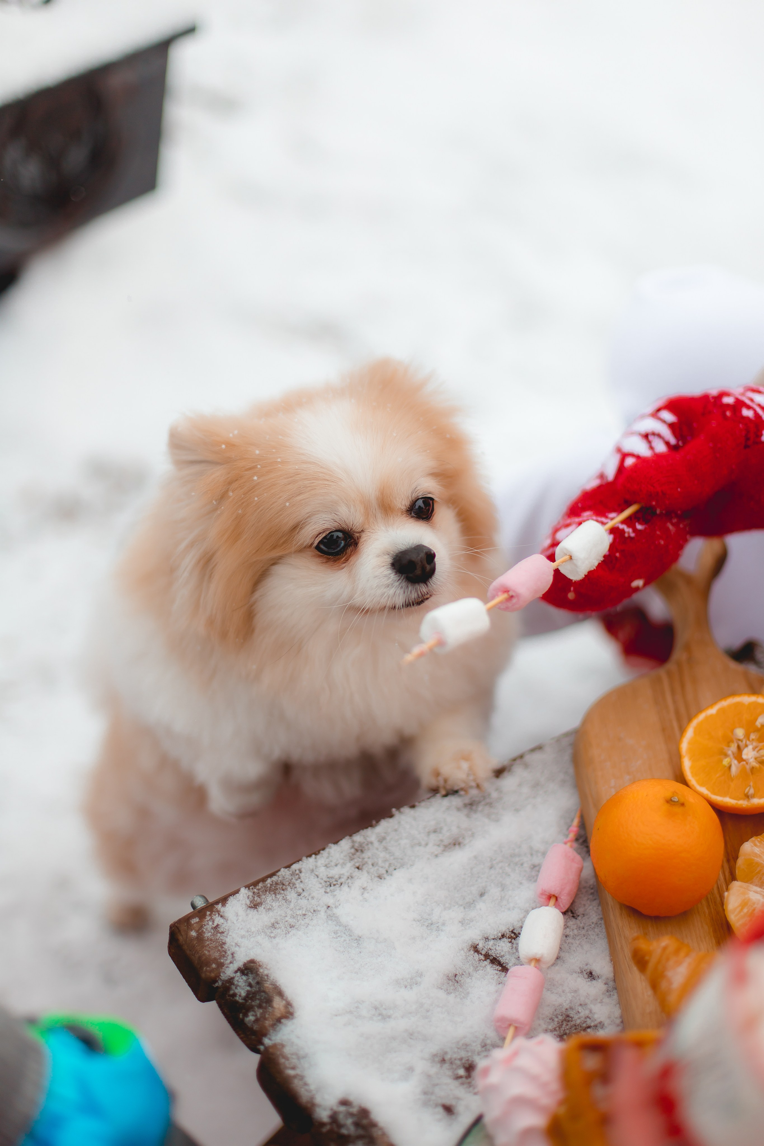 Новый год. Ретушер Светлана Абрамова