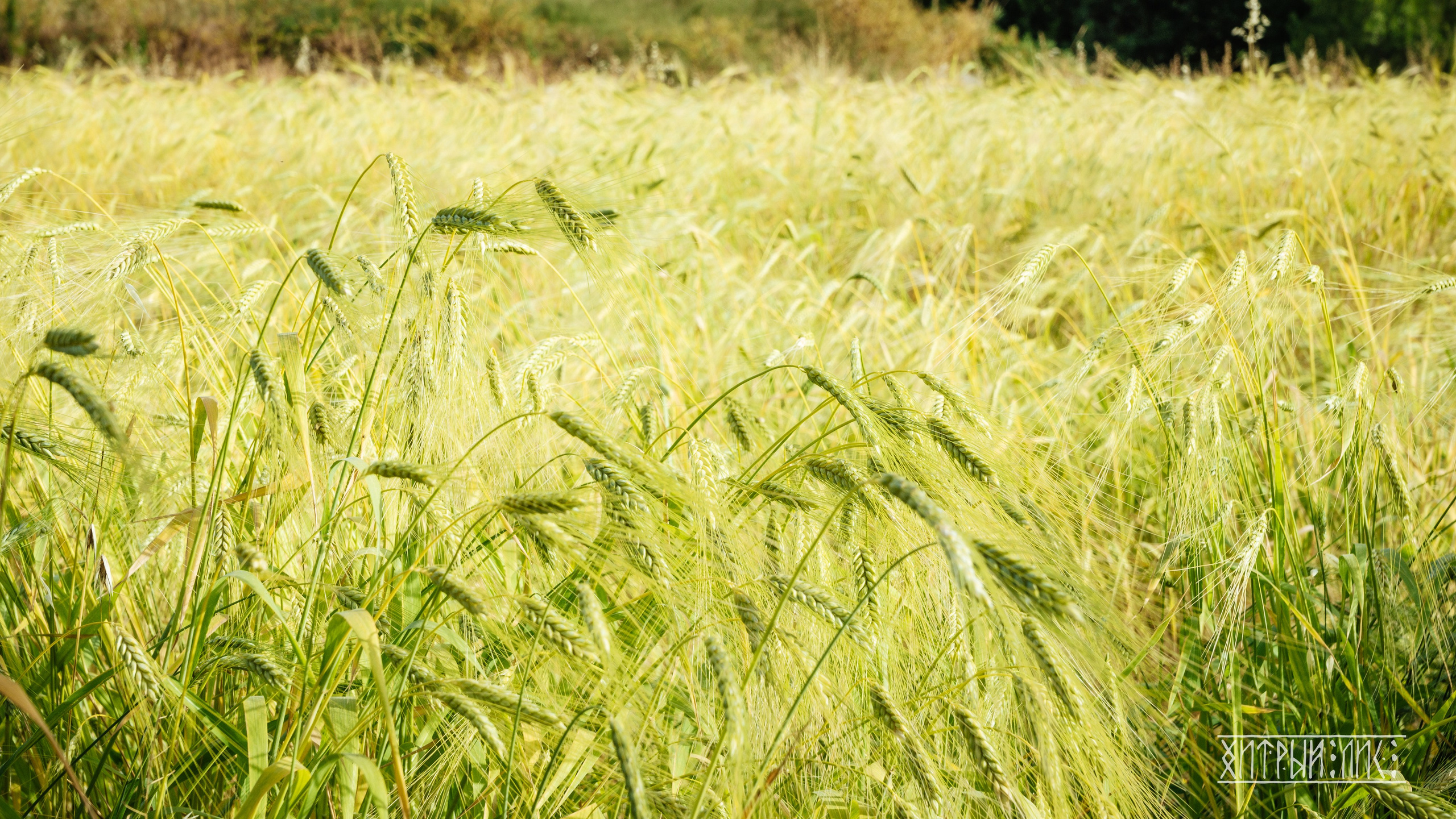 Кипр. Фотограф-путешественник Самойлов Максим «Sly Fox»