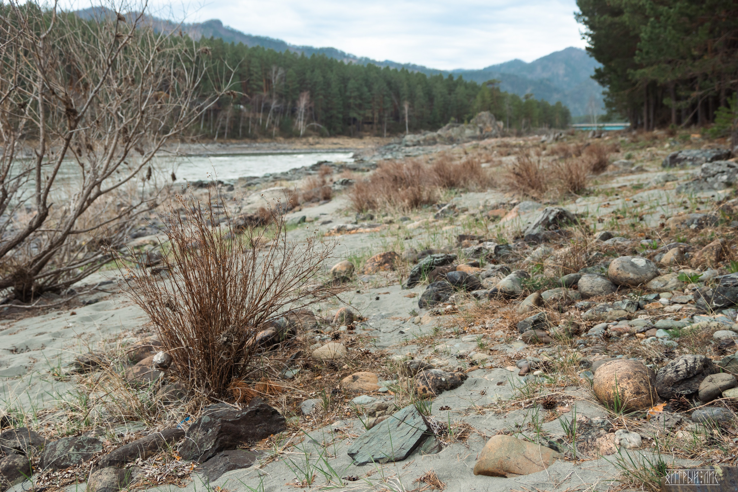 Алтай. Фотограф-путешественник Самойлов Максим «Sly Fox»