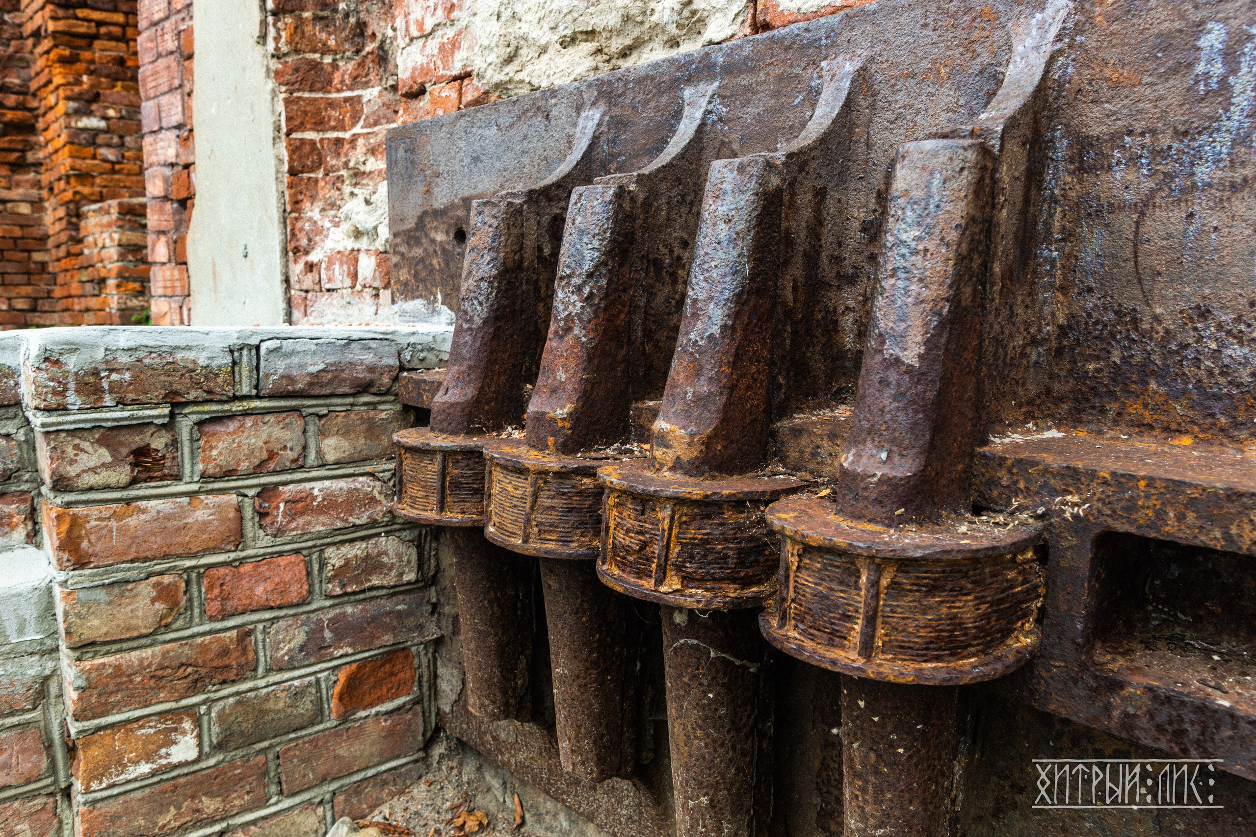 Беларусь. Фотограф-путешественник Самойлов Максим «Sly Fox»