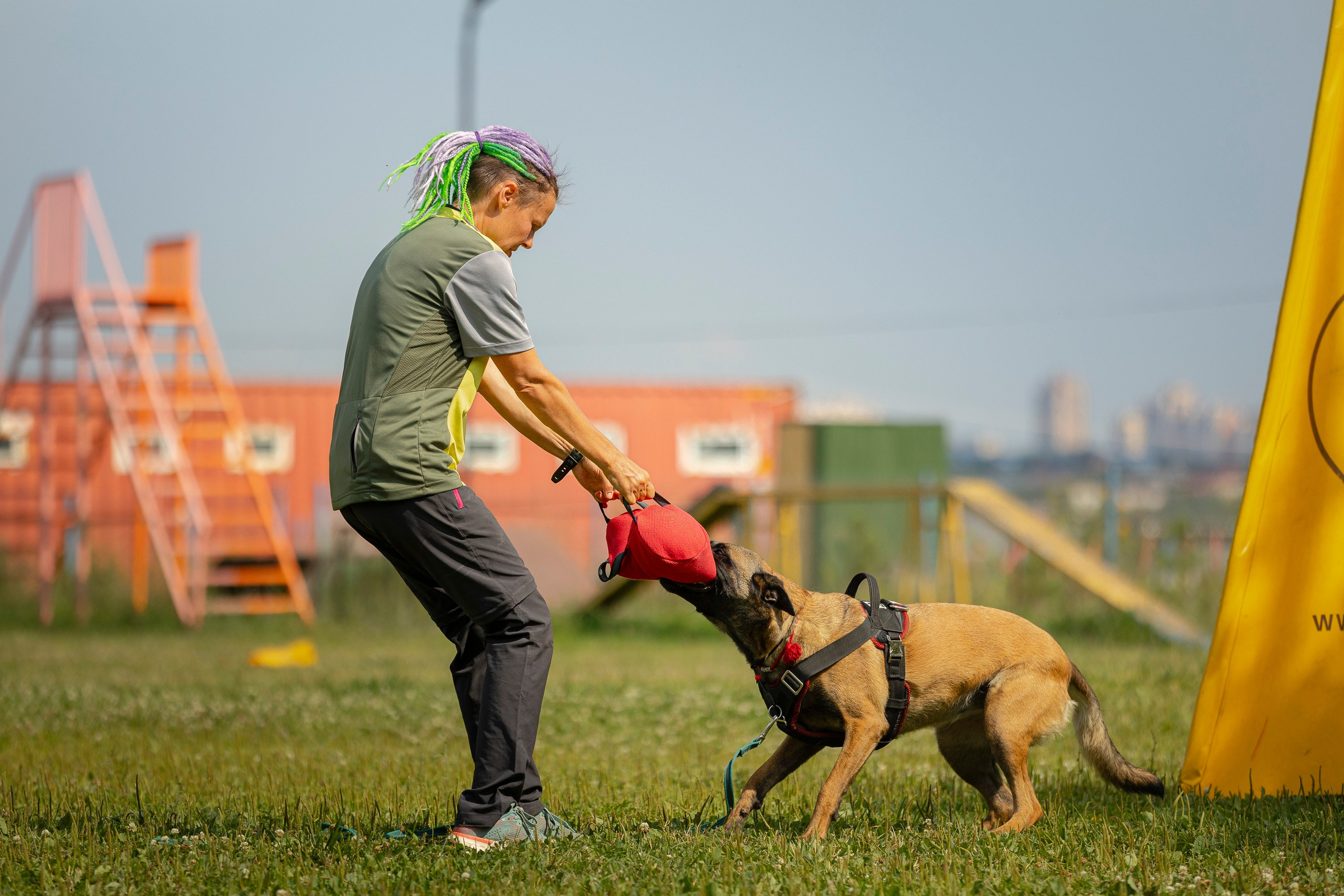 ЗКС. Фотограф анималист, семейный фотограф, фотограф собак Комратова Мария. г. Москва