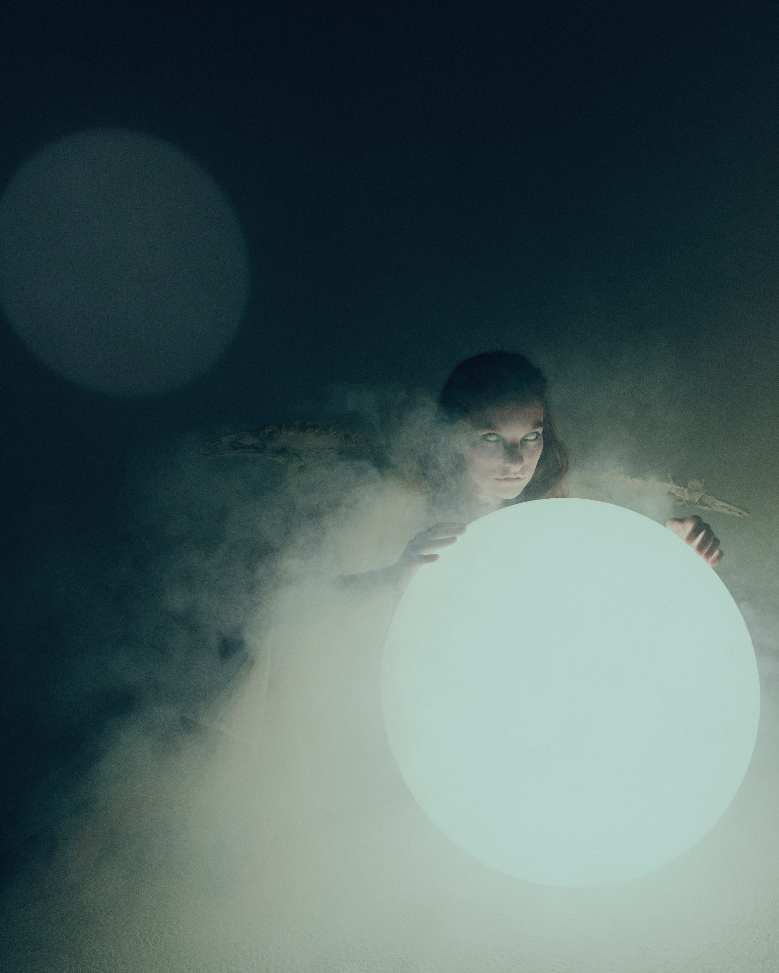 Мотылек. Фотограф Anita Mivchas