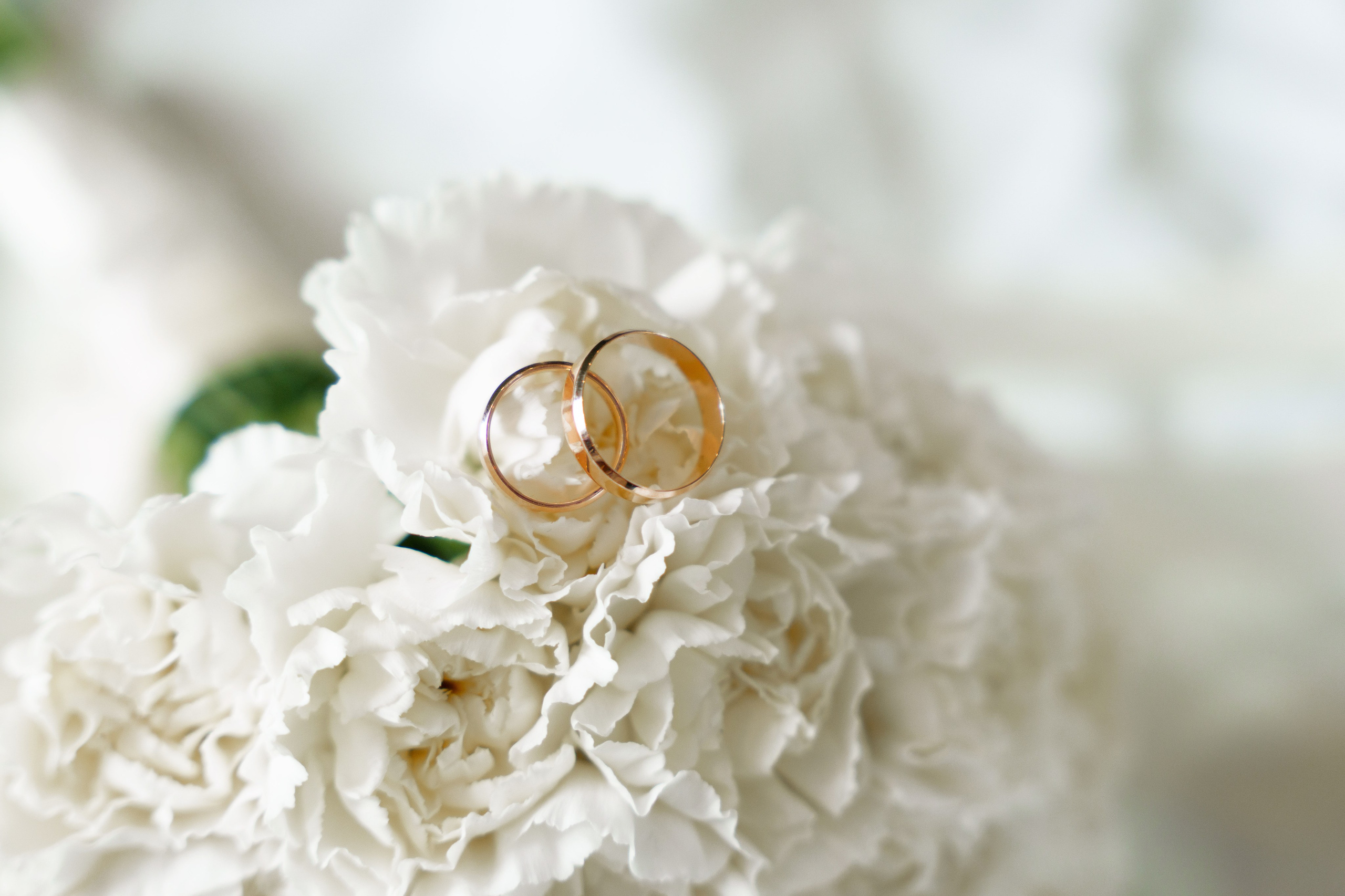 Адам и Анна 20/08/2025. Фотограф в Смоленске Ольга Давыдова