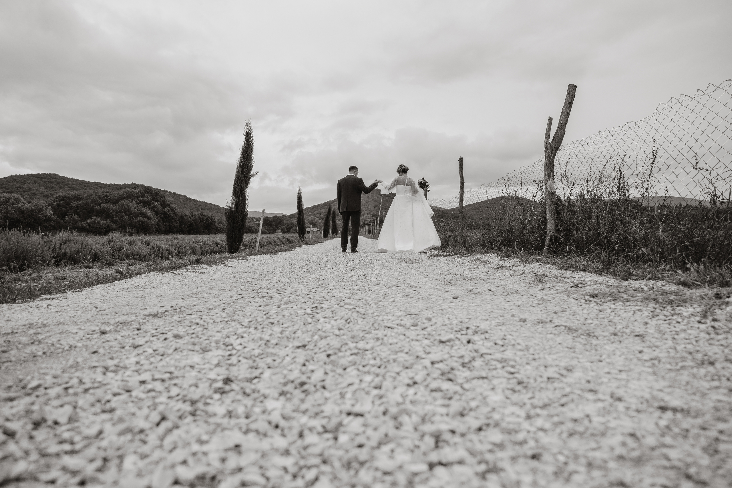 Анна и Дмитрий. Свадебный фотограф в Краснодарском крае Пеньков Роман