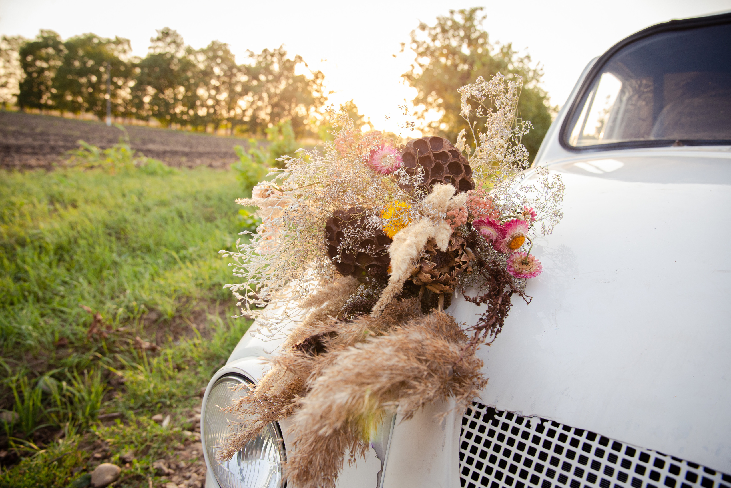 Влада и Владимир. Свадебный фотограф в Краснодарском крае Пеньков Роман