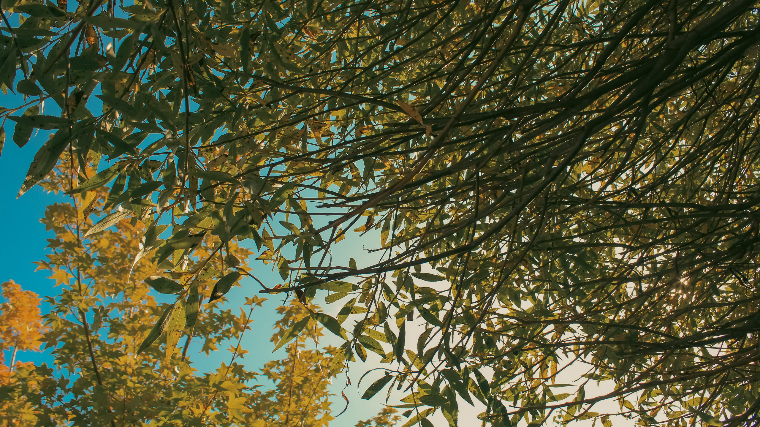 TMN ivapark '24. Фотограф/дизайнер в Екатеринбурге Хитрый Дмитрий