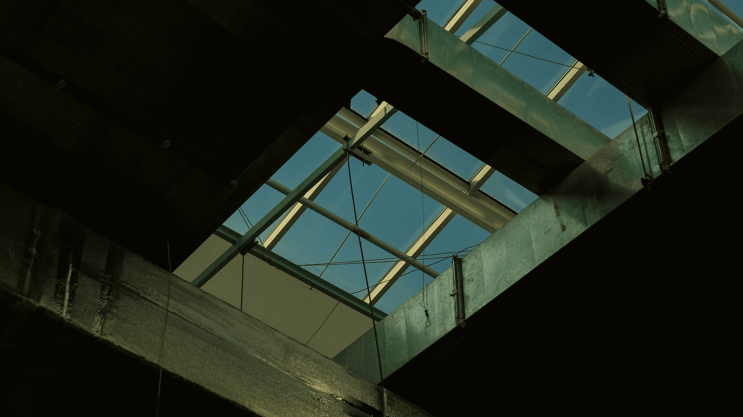 TMN summer '24. Фотограф/дизайнер в Екатеринбурге Хитрый Дмитрий