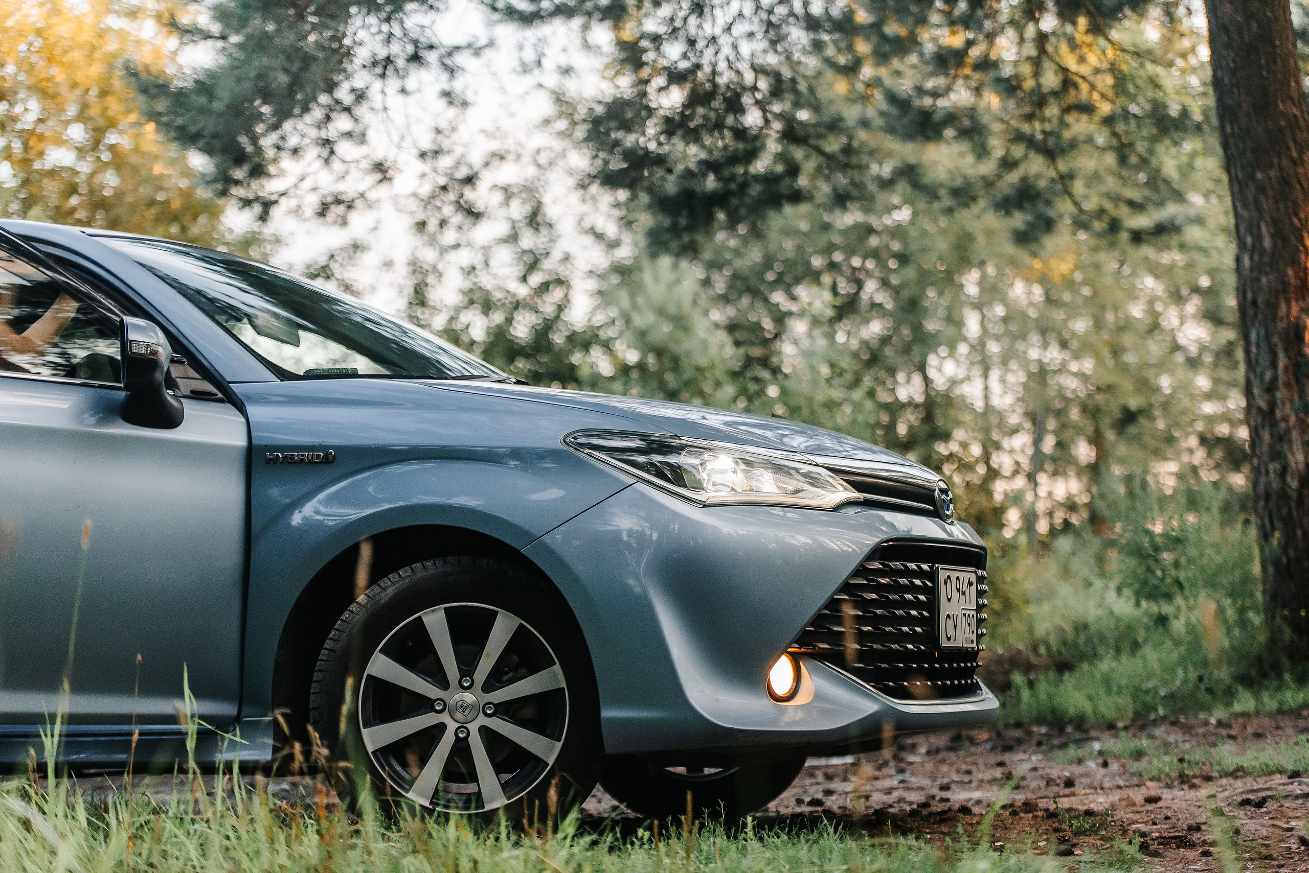 Эмир, Алсу и немецкая овчарка Рэй (Щелково, 2023). Анна Пушина, фотограф, Москва, Королев, Пушкино