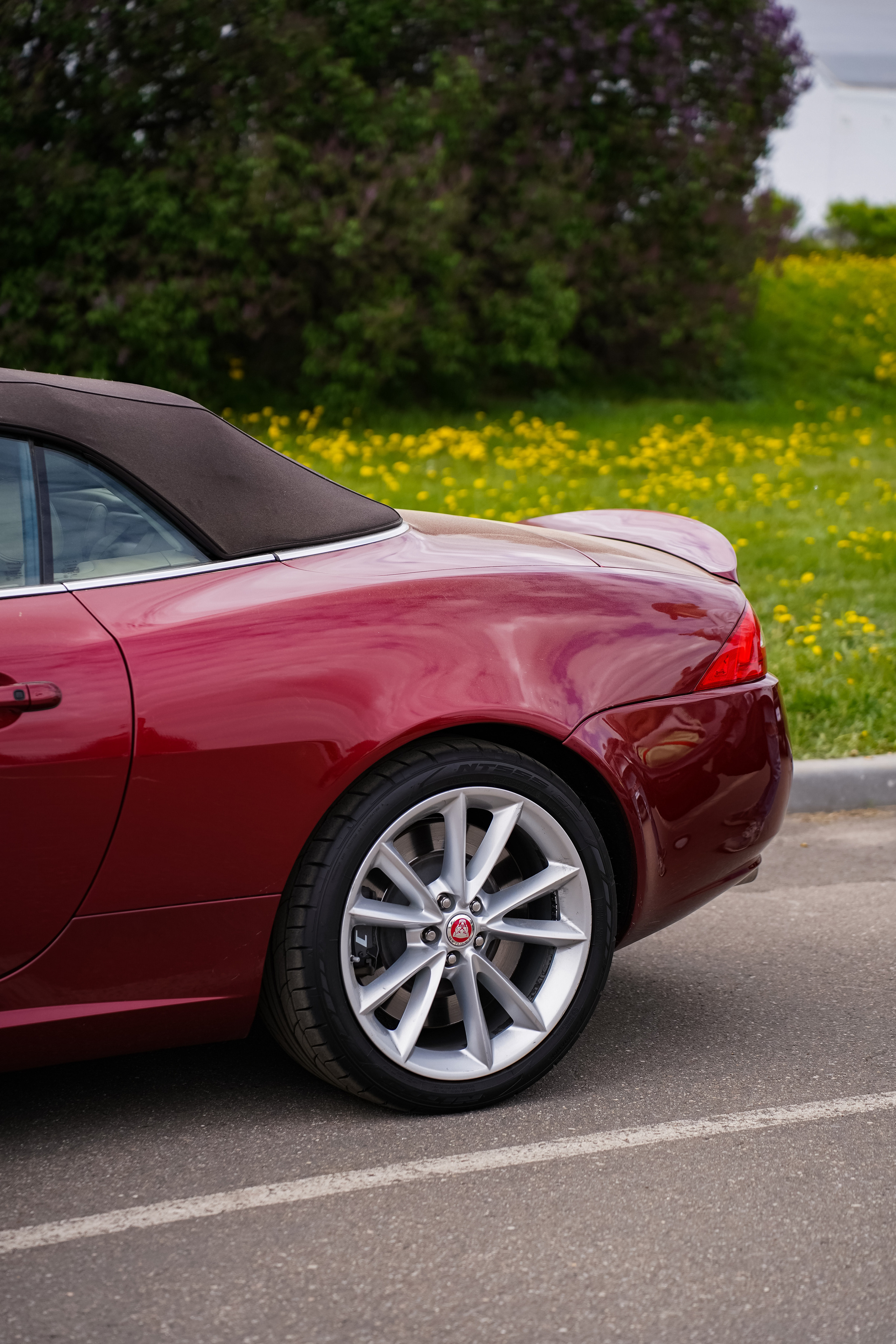 Автовыходные на Гребном канале 2023. Фотограф в Москве Ксения Насокина